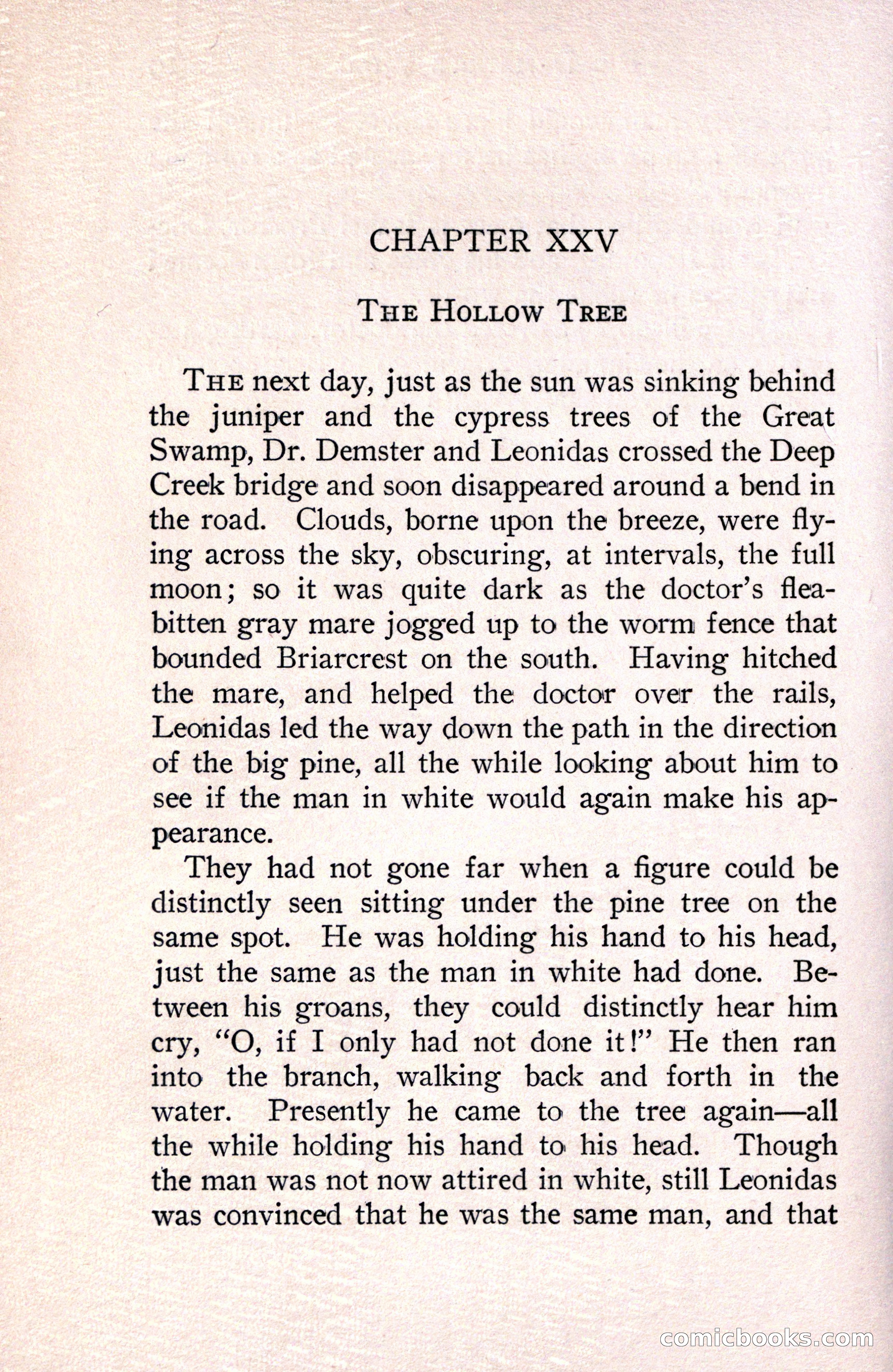 In the Shadow of the Pines: A Tale of Tidewater Virginia — page 254 of 287