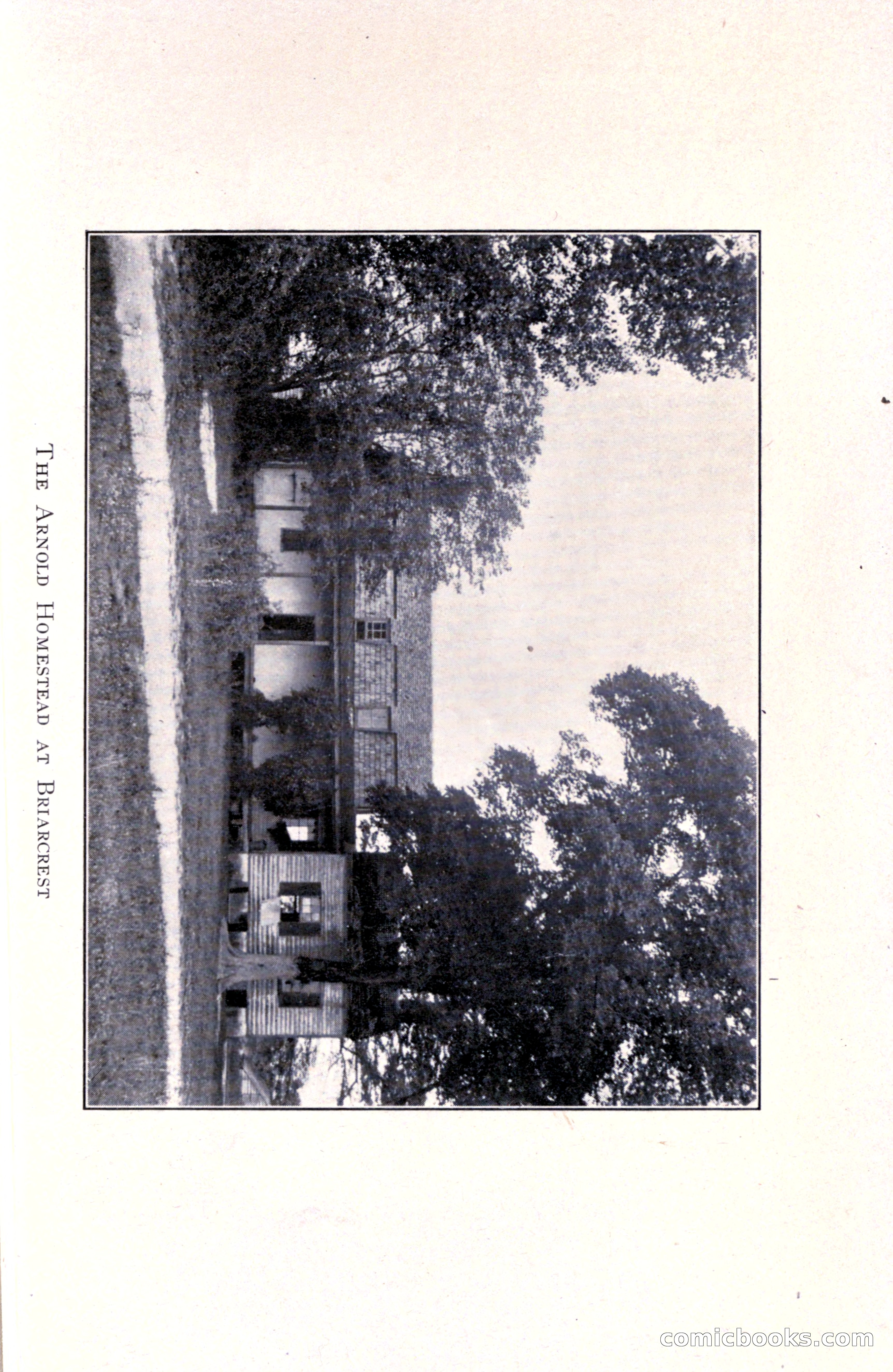 In the Shadow of the Pines: A Tale of Tidewater Virginia — page 261 of 287