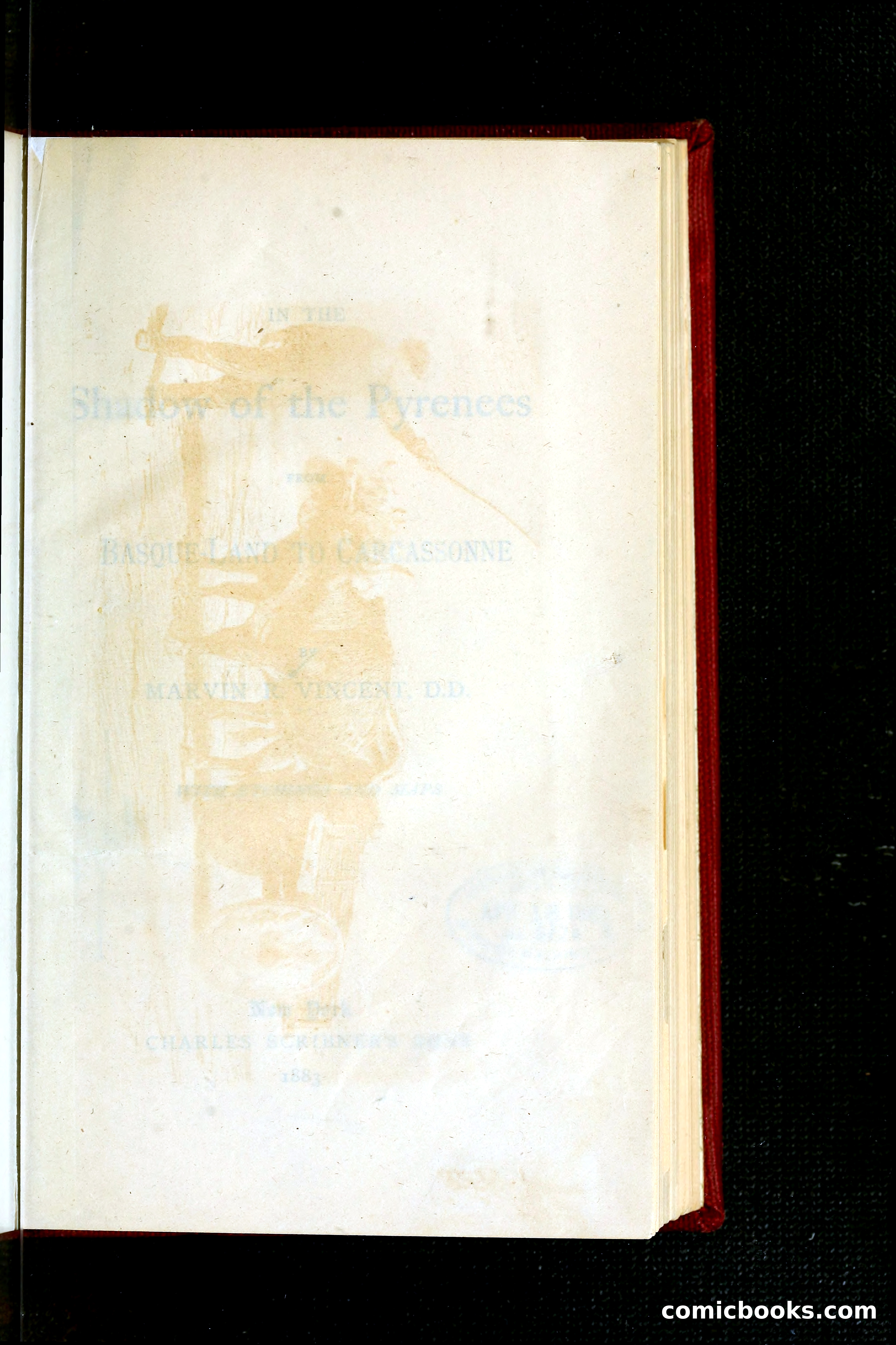 In the Shadow of the Pyrenees from Basque-Land to Carcassonne — page 10 of 322