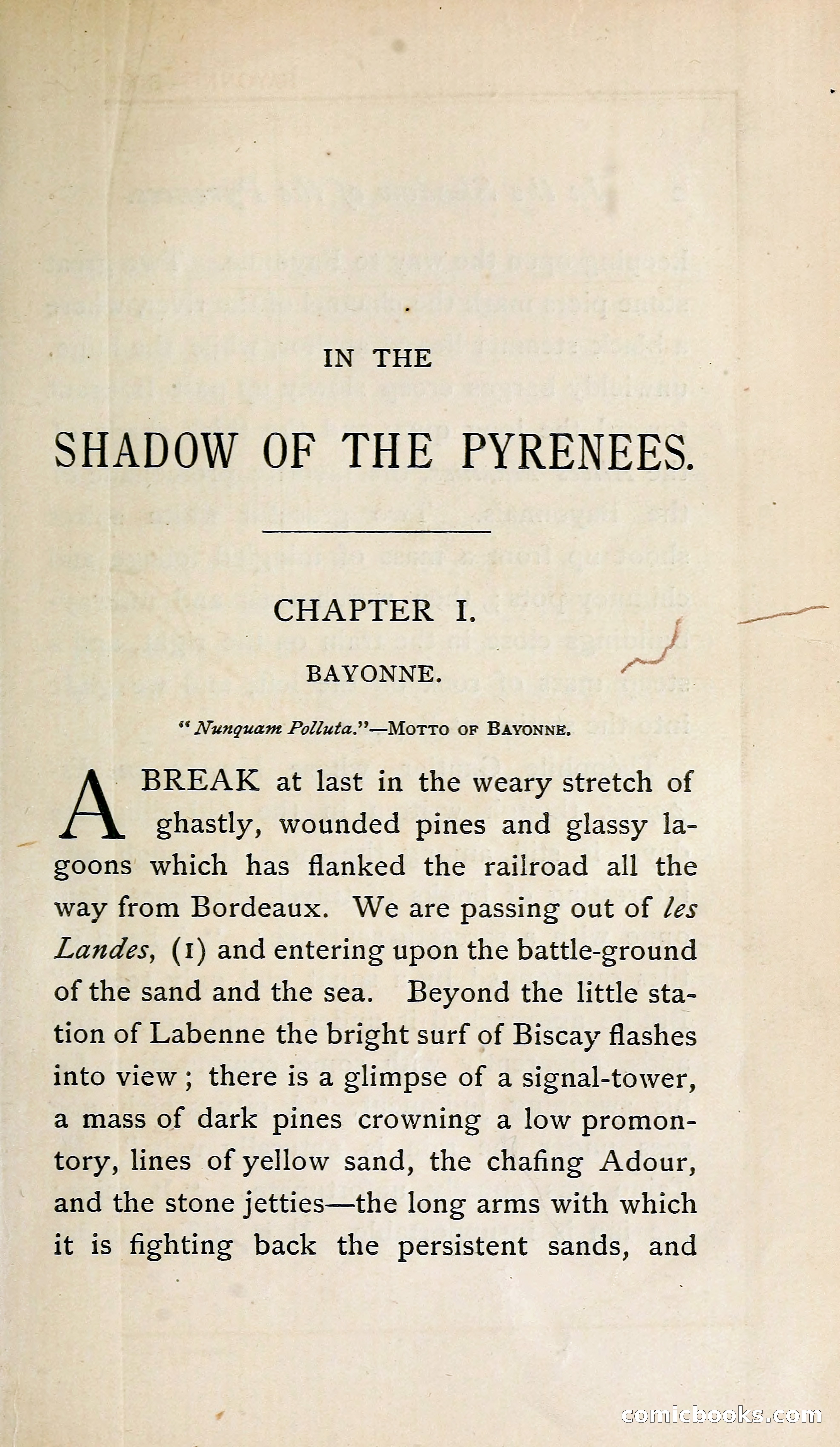 In the Shadow of the Pyrenees from Basque-Land to Carcassonne — page 22 of 322