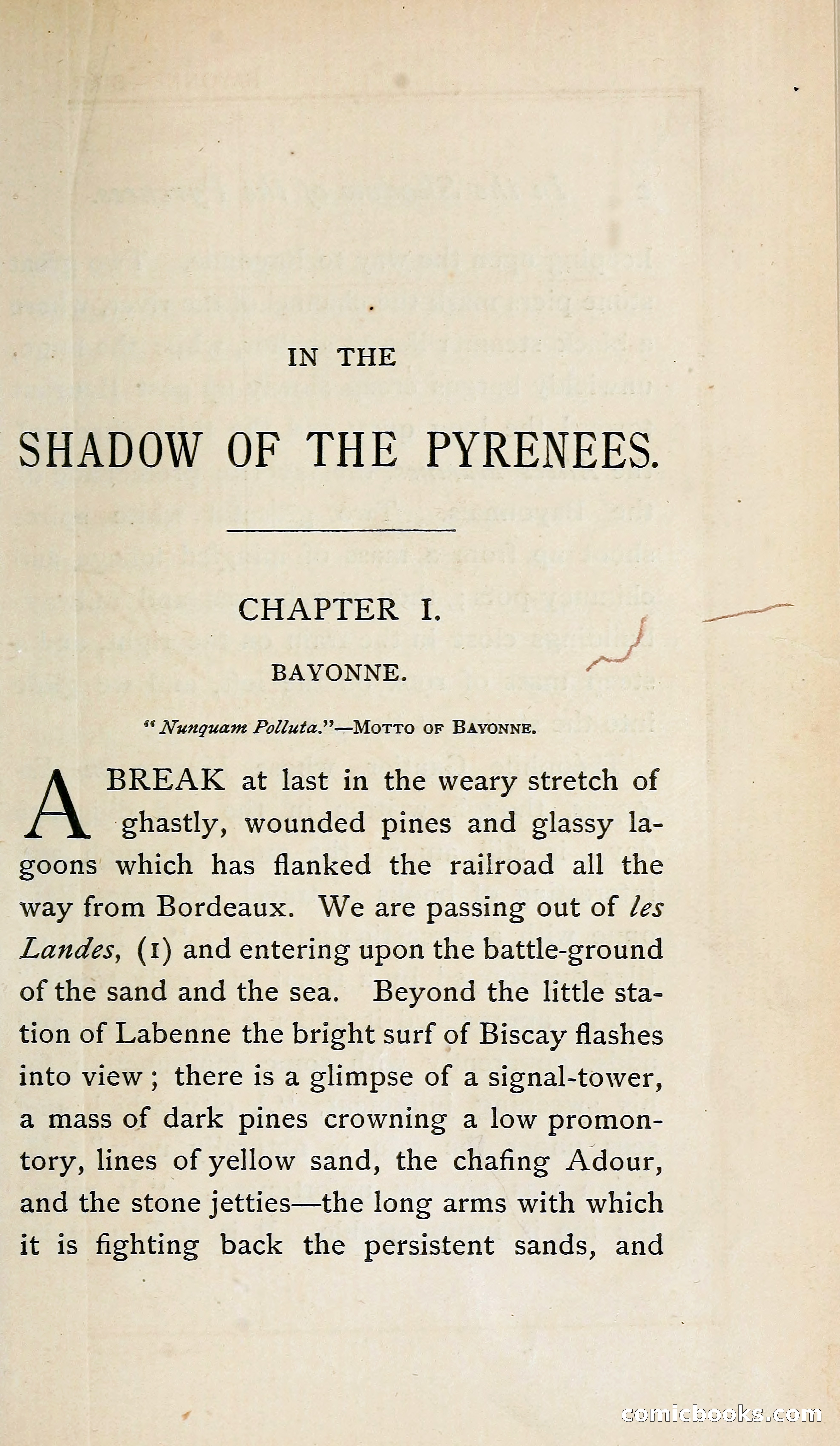 In the Shadow of the Pyrenees from Basque-Land to Carcassonne — page 26 of 322