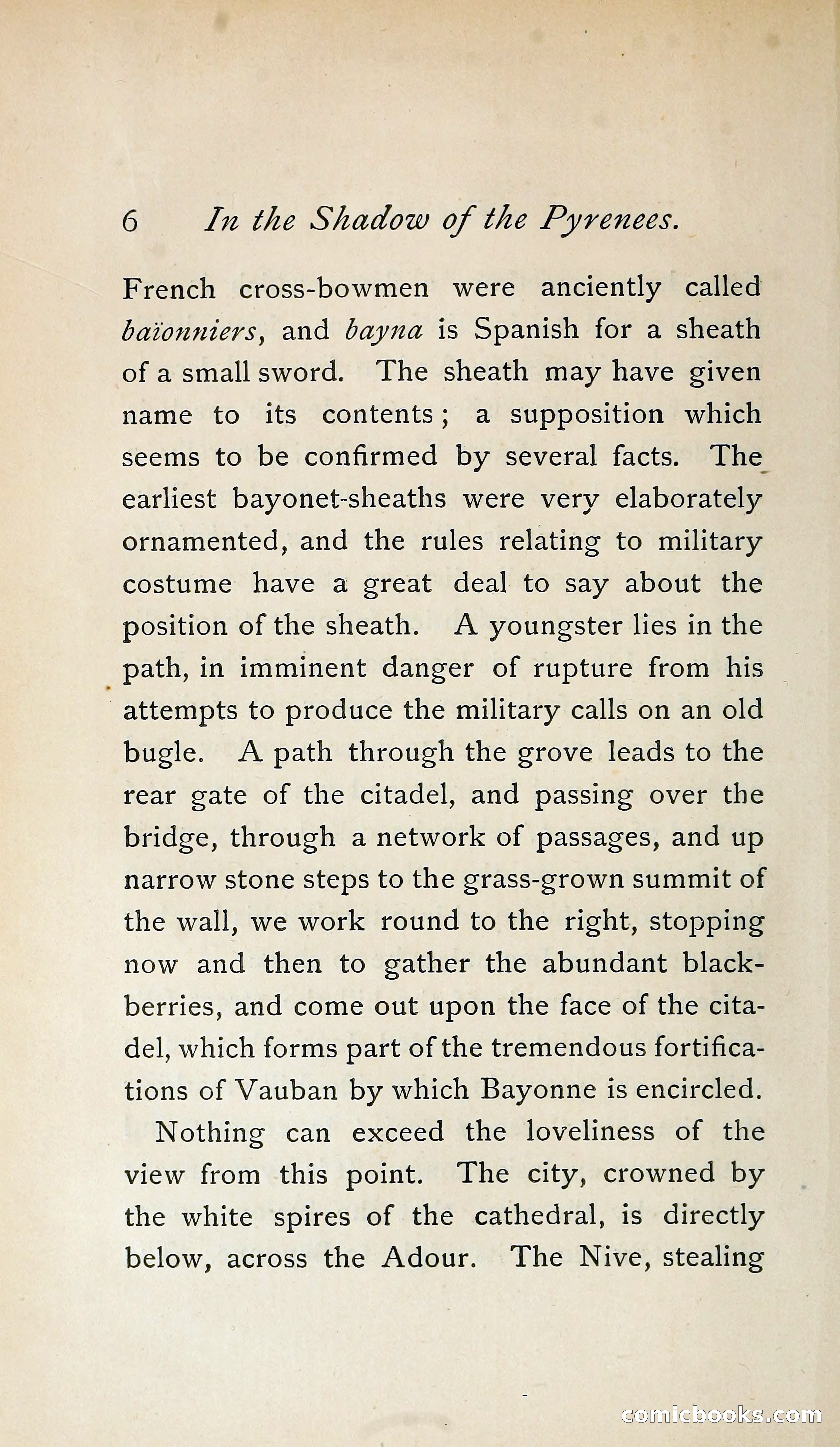 In the Shadow of the Pyrenees from Basque-Land to Carcassonne — page 31 of 322
