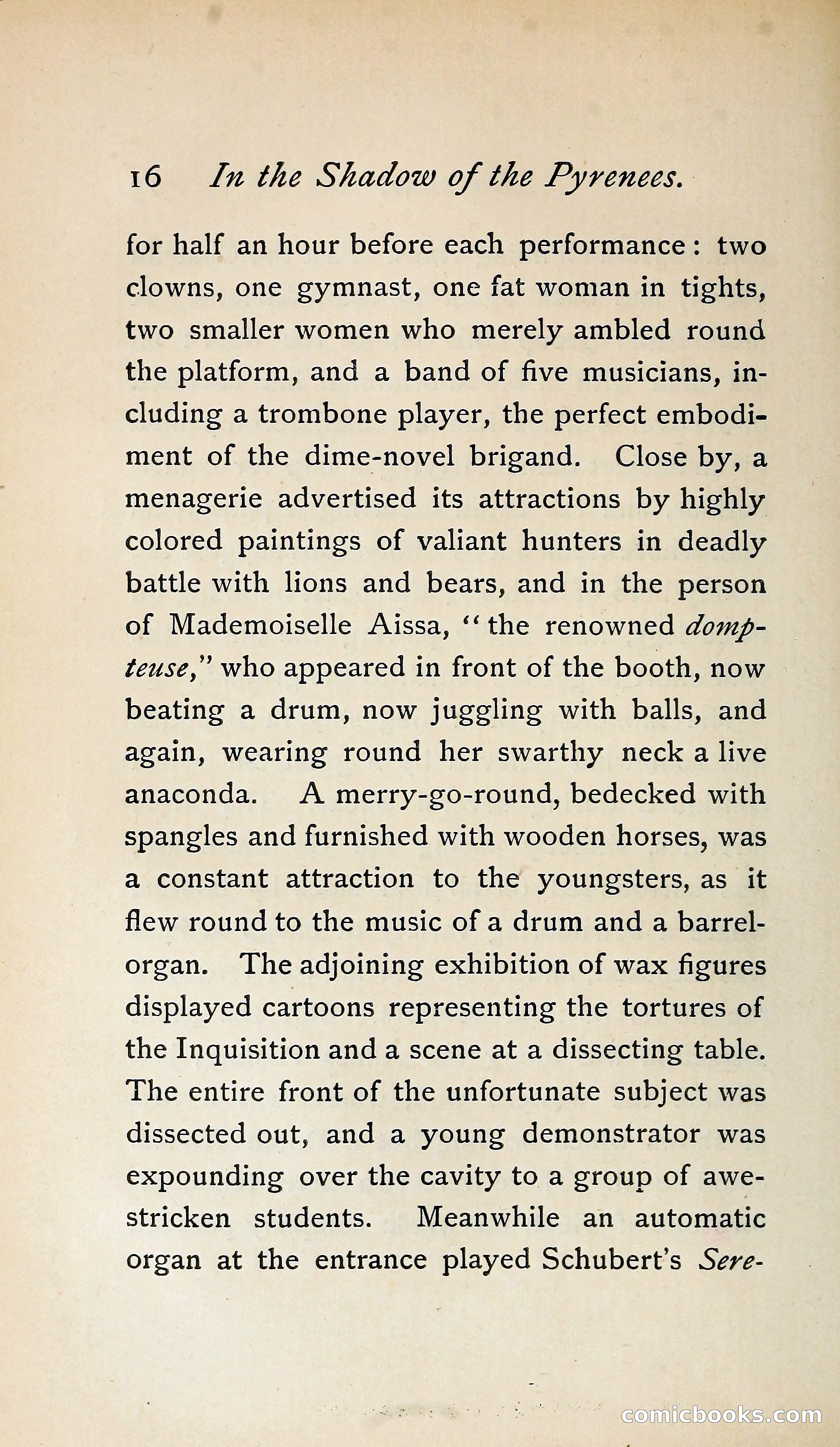 In the Shadow of the Pyrenees from Basque-Land to Carcassonne — page 41 of 322
