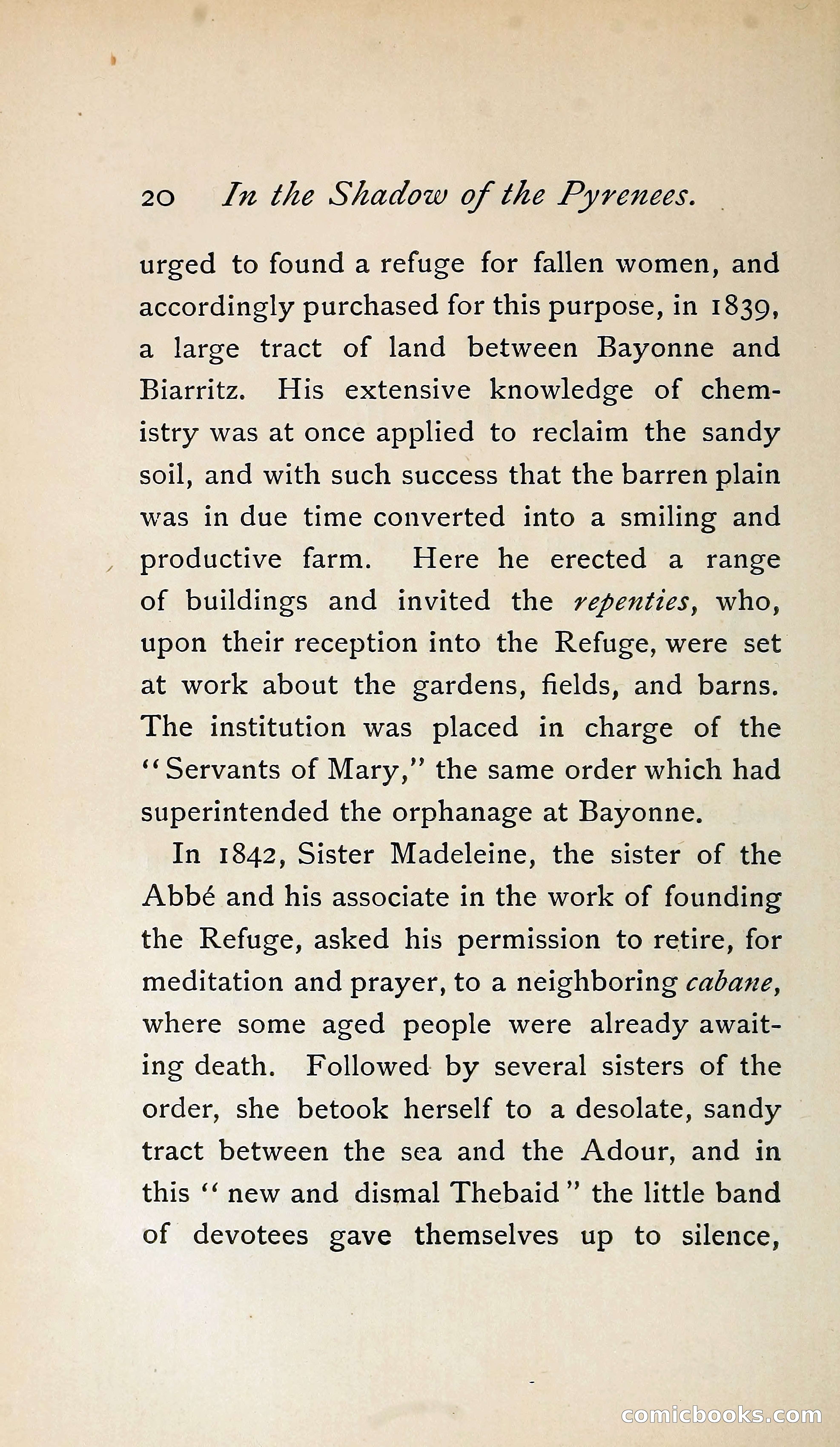 In the Shadow of the Pyrenees from Basque-Land to Carcassonne — page 45 of 322