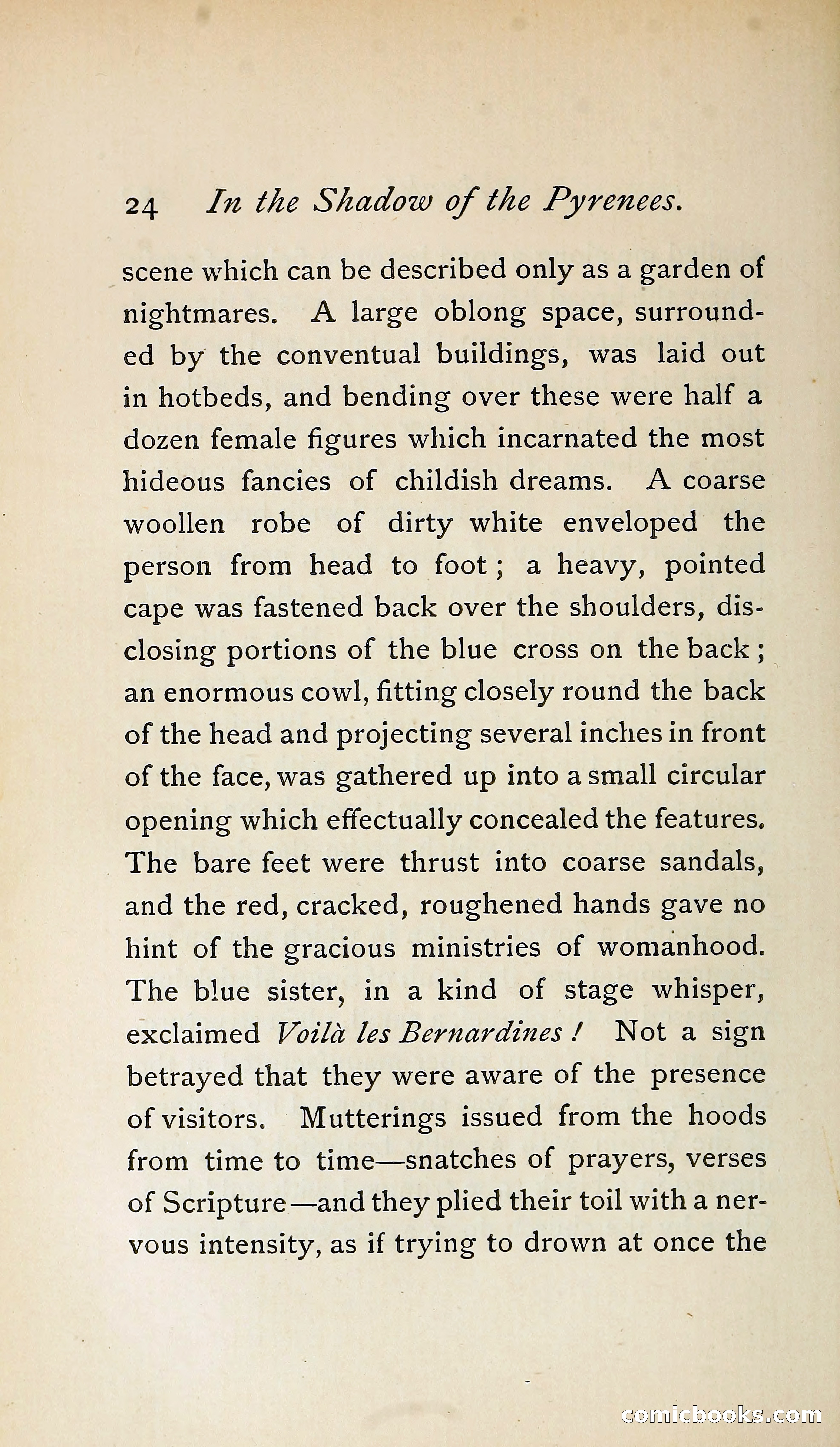 In the Shadow of the Pyrenees from Basque-Land to Carcassonne — page 49 of 322
