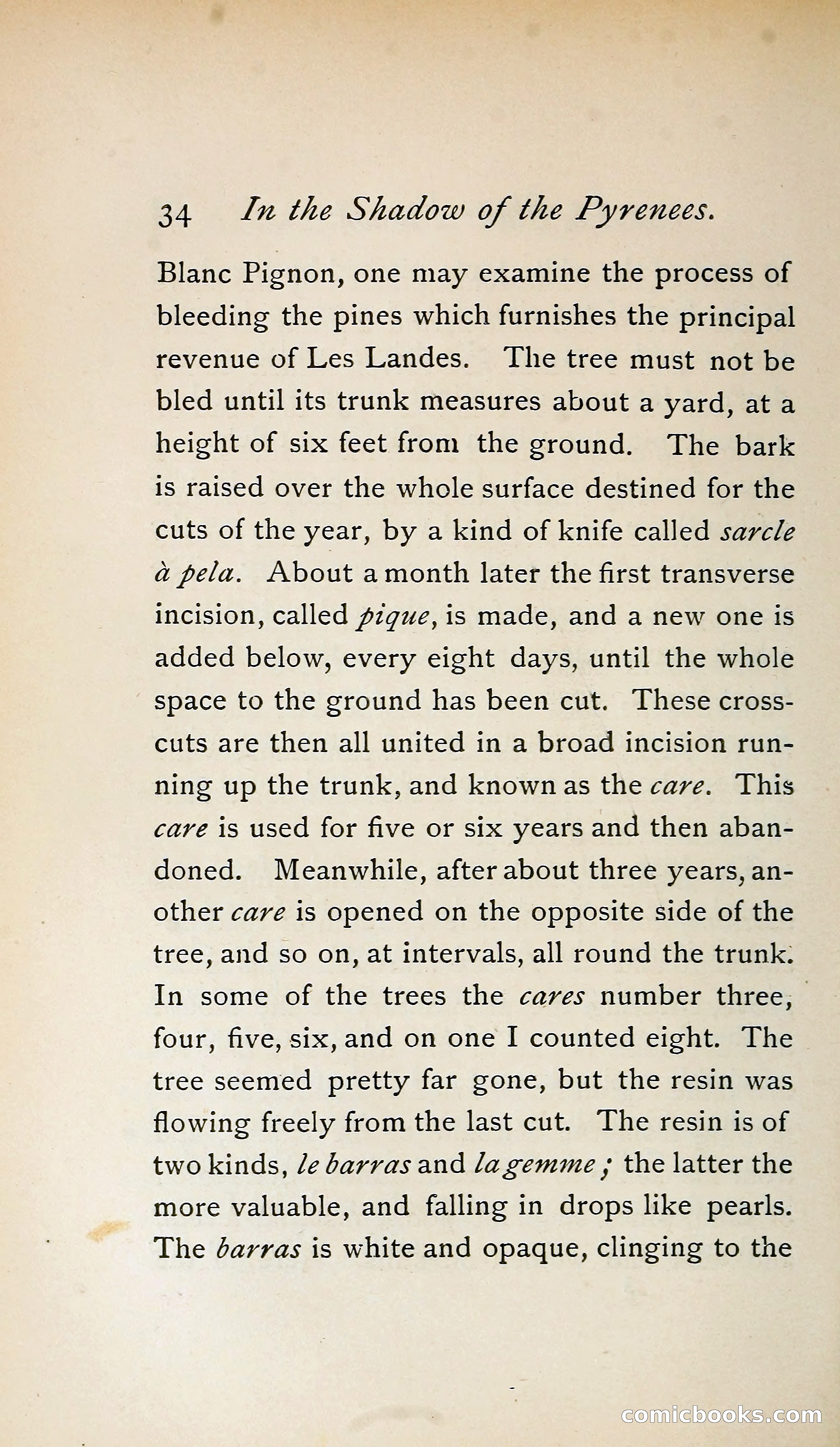 In the Shadow of the Pyrenees from Basque-Land to Carcassonne — page 59 of 322