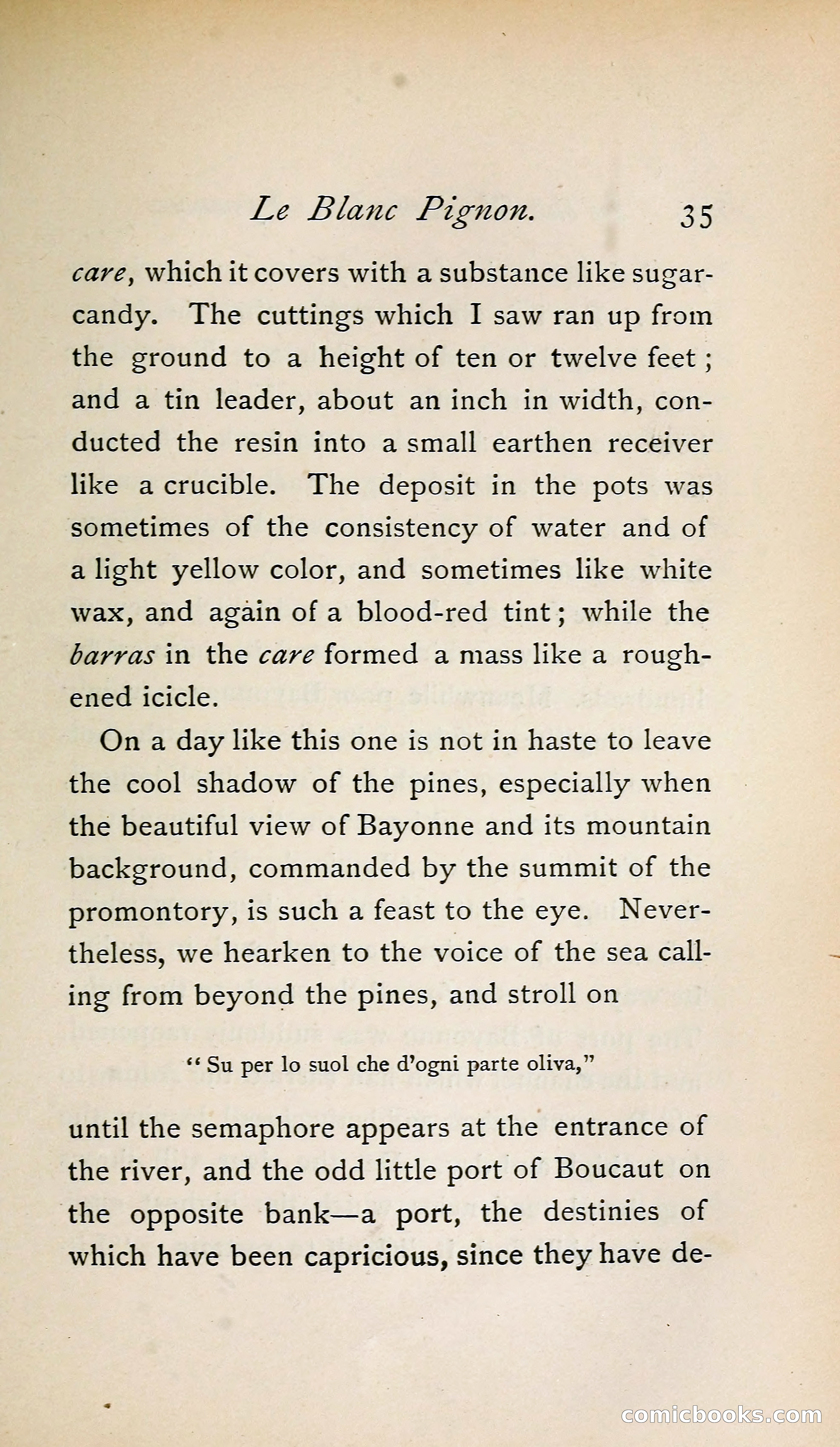 In the Shadow of the Pyrenees from Basque-Land to Carcassonne — page 60 of 322