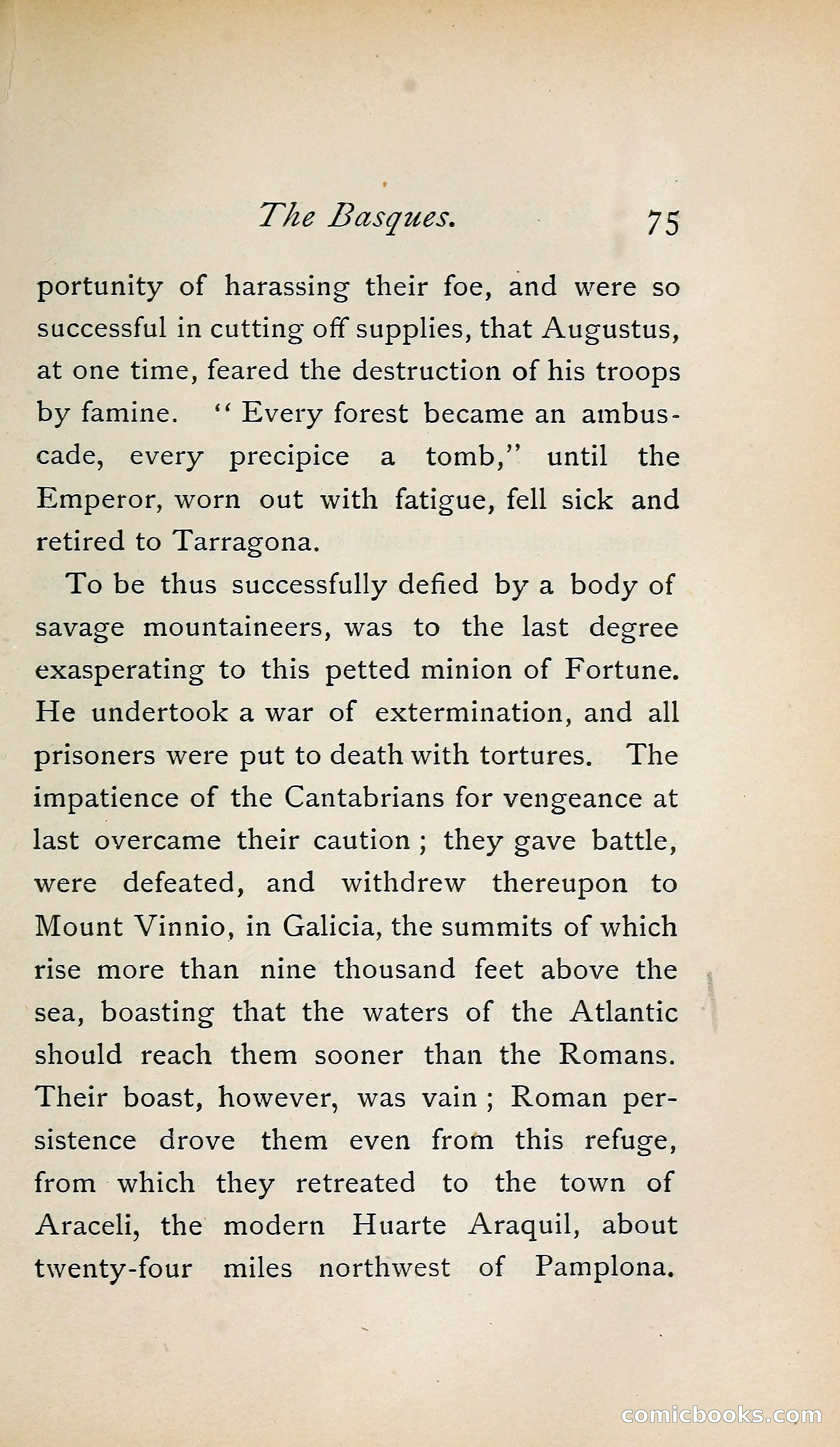 In the Shadow of the Pyrenees from Basque-Land to Carcassonne — page 104 of 322