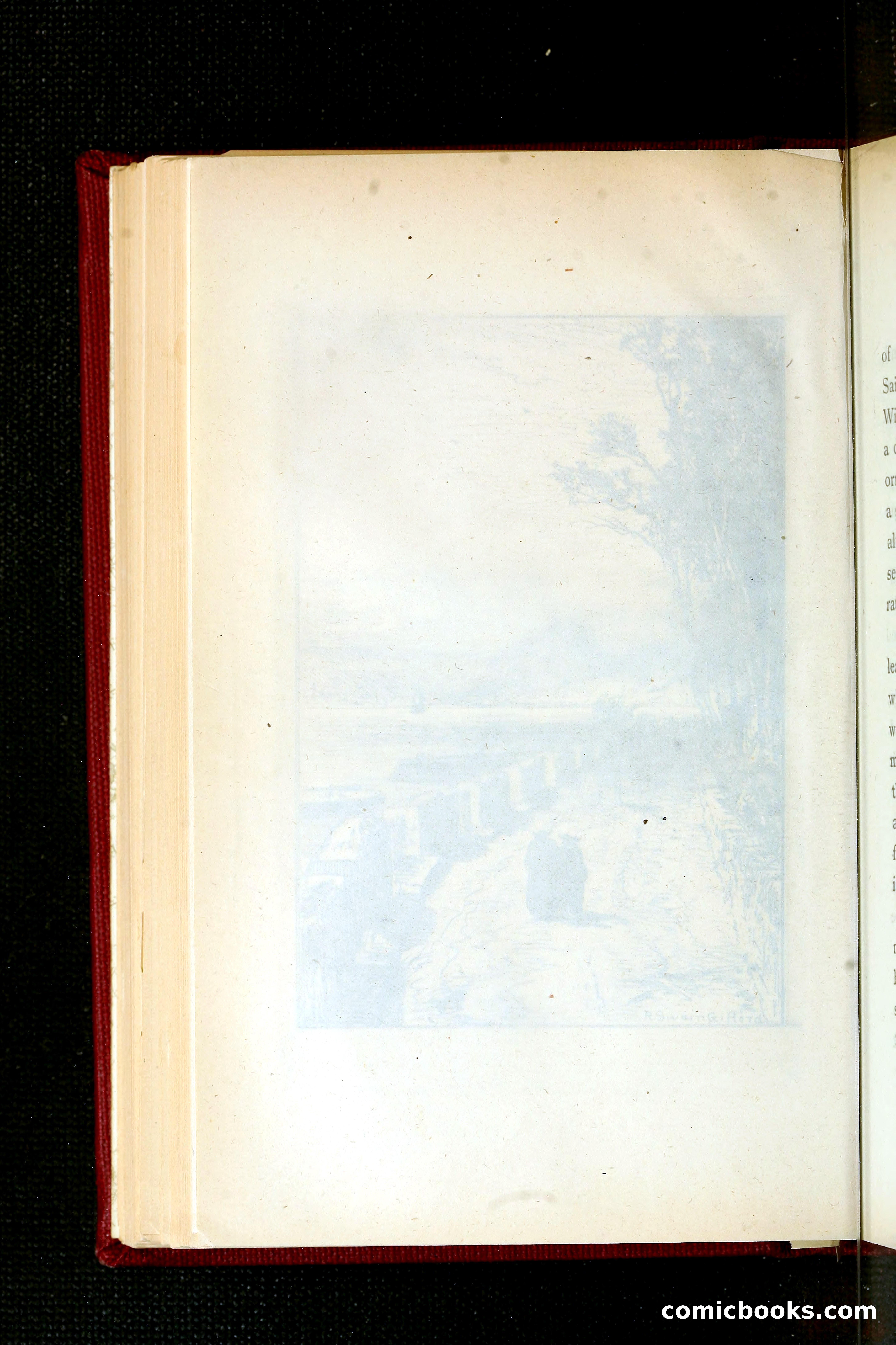 In the Shadow of the Pyrenees from Basque-Land to Carcassonne — page 171 of 322