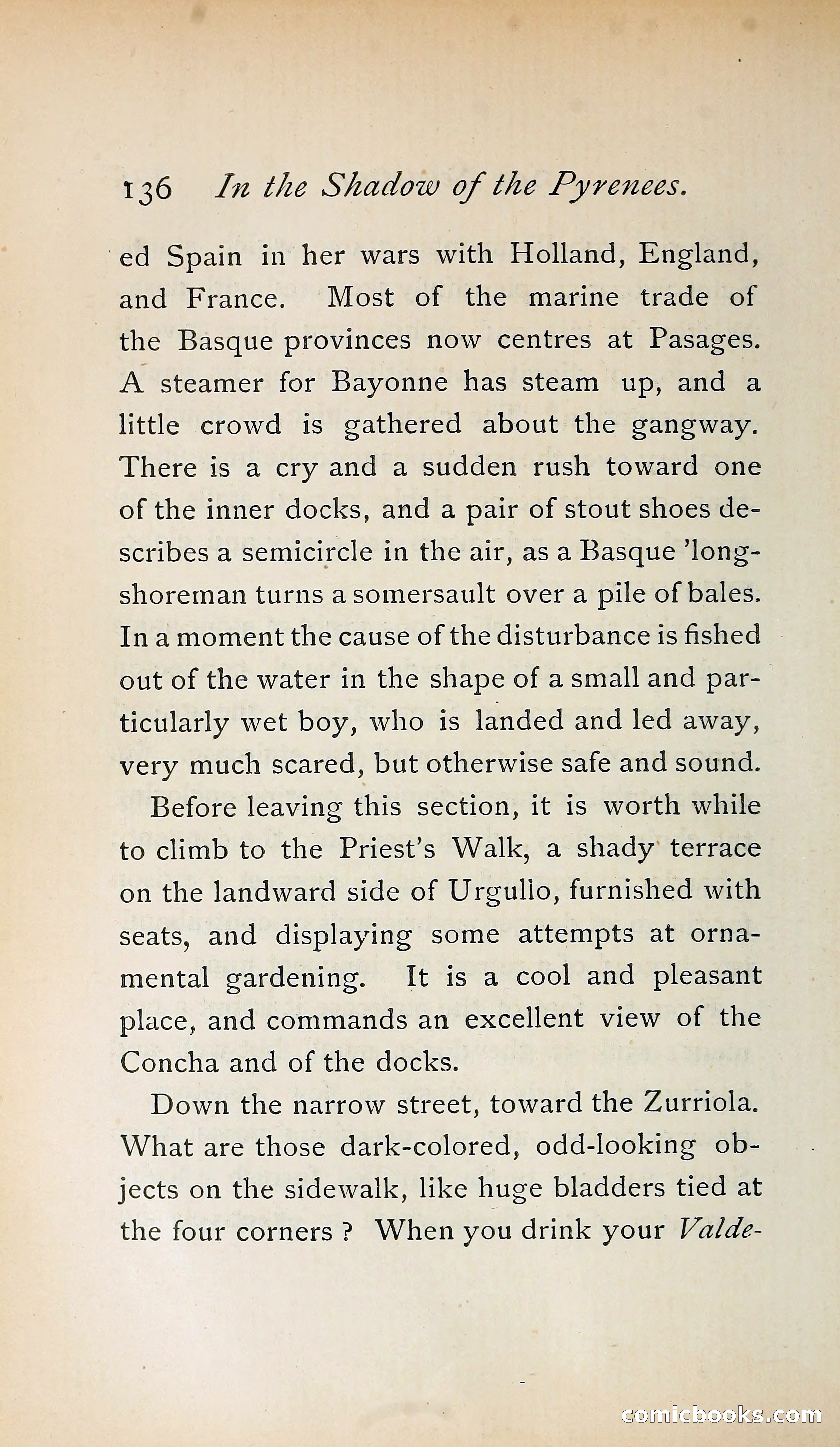 In the Shadow of the Pyrenees from Basque-Land to Carcassonne — page 173 of 322
