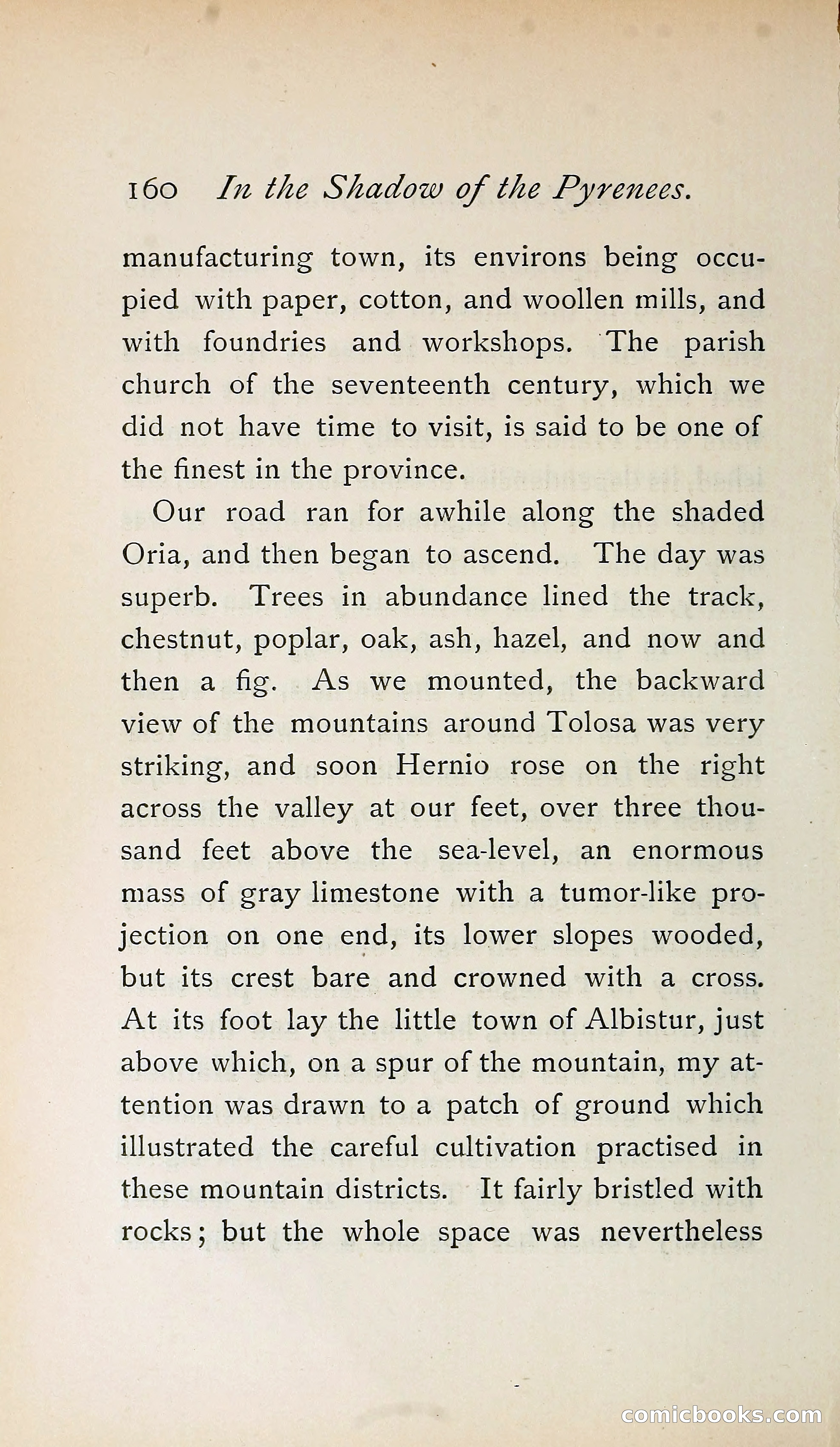 In the Shadow of the Pyrenees from Basque-Land to Carcassonne — page 197 of 322
