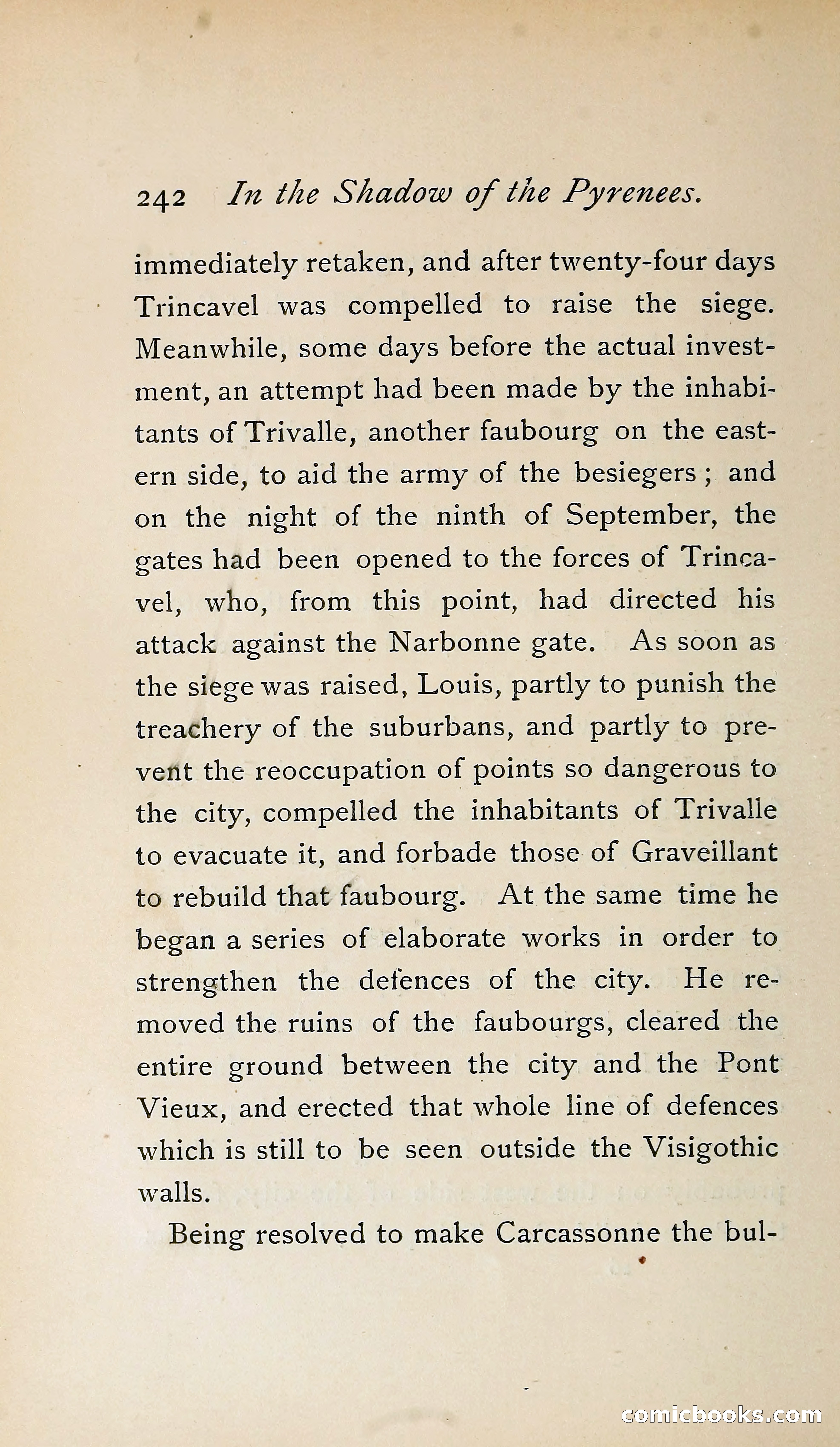 In the Shadow of the Pyrenees from Basque-Land to Carcassonne — page 283 of 322