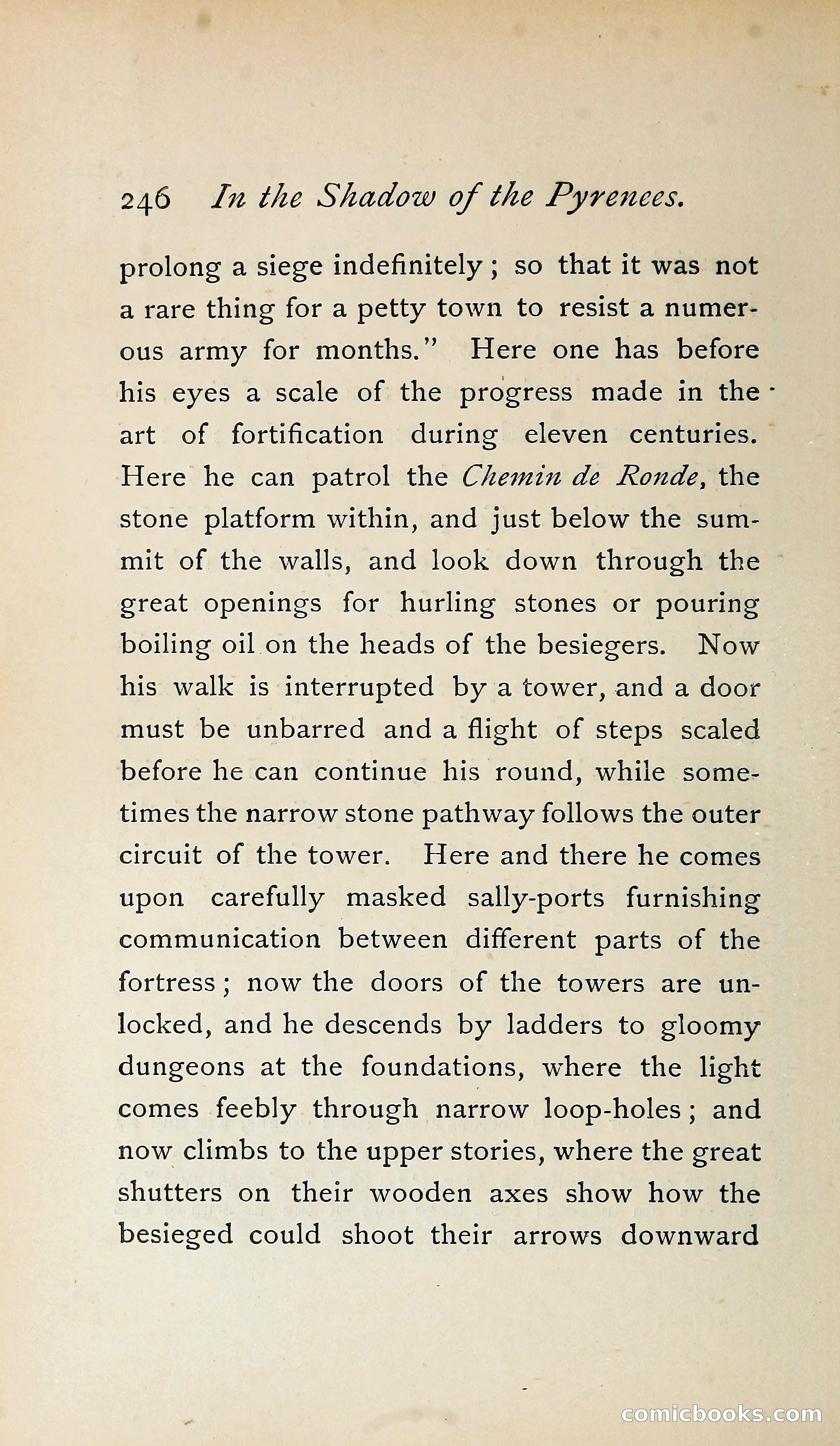 In the Shadow of the Pyrenees from Basque-Land to Carcassonne — page 289 of 322