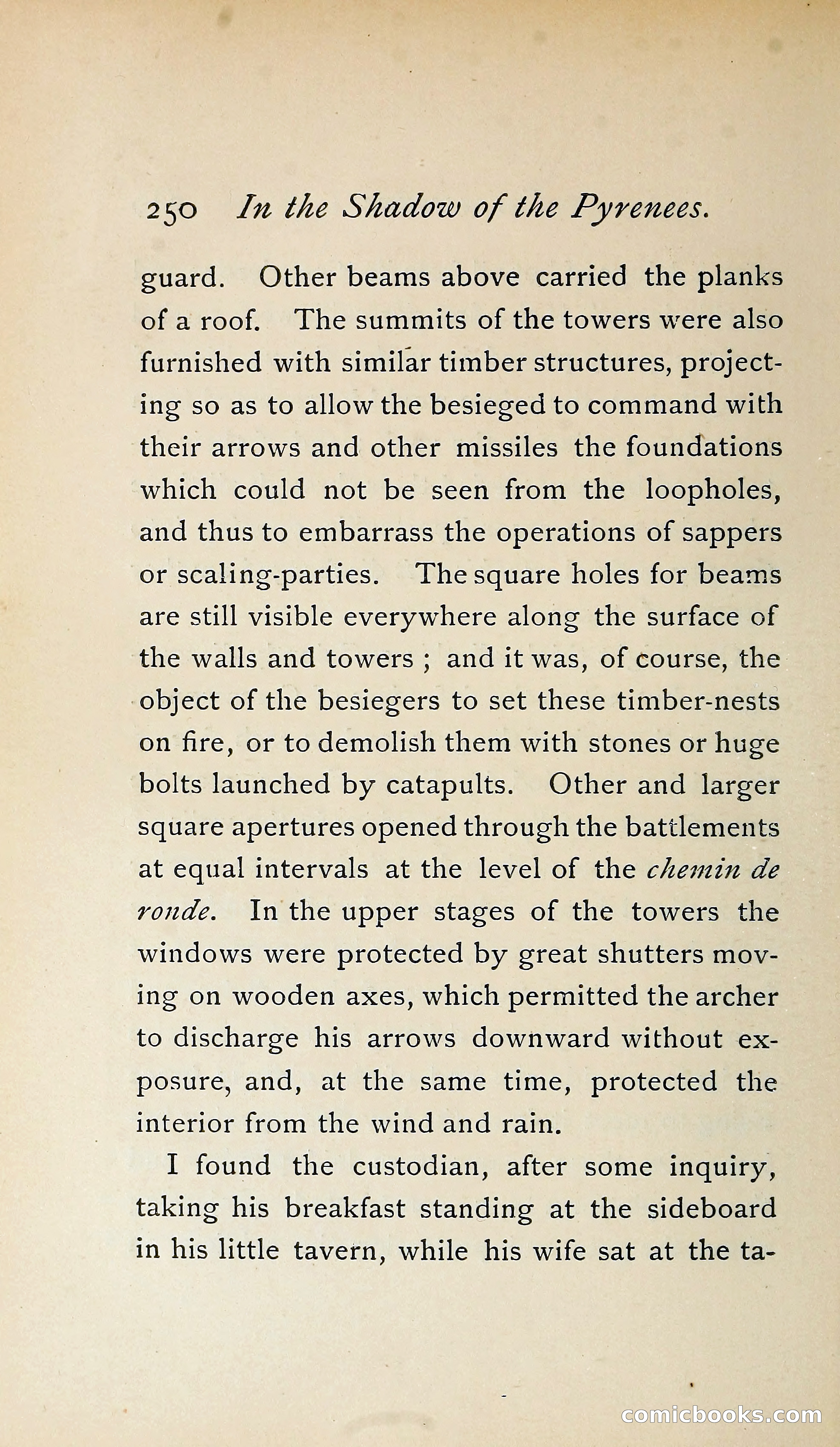 In the Shadow of the Pyrenees from Basque-Land to Carcassonne — page 293 of 322