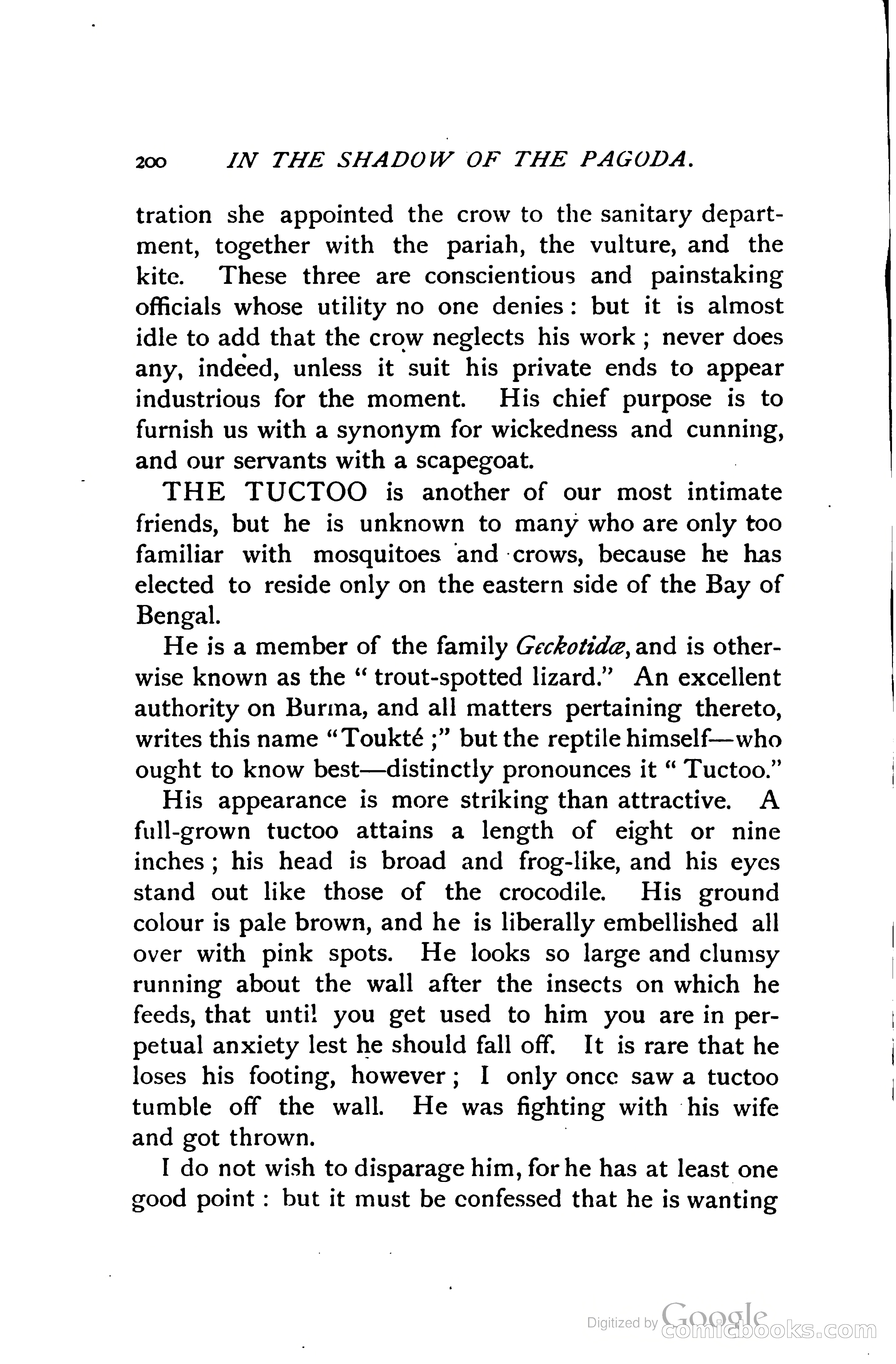 In the Shadow of the Pagoda — page 213 of 395