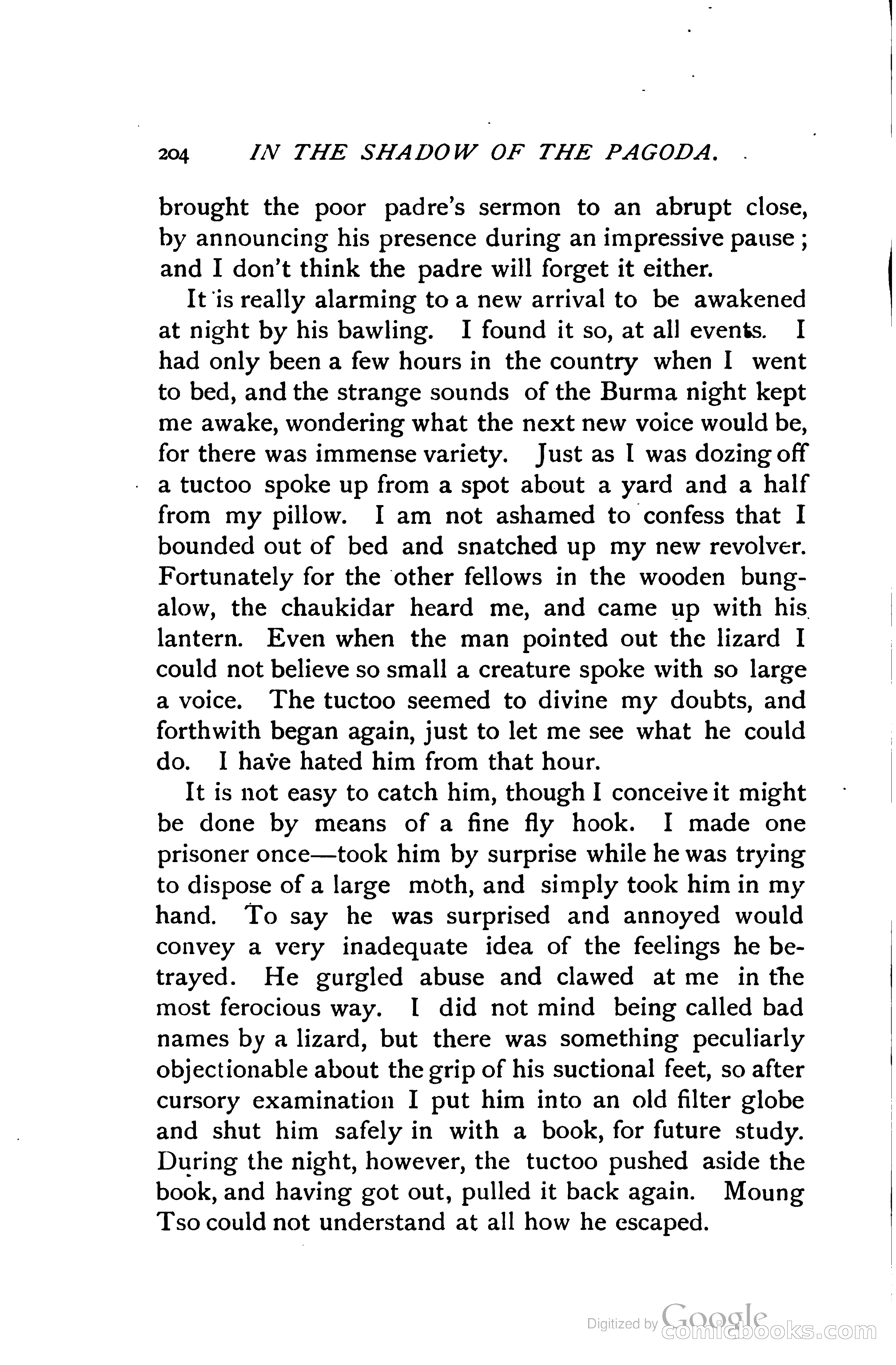 In the Shadow of the Pagoda — page 217 of 395