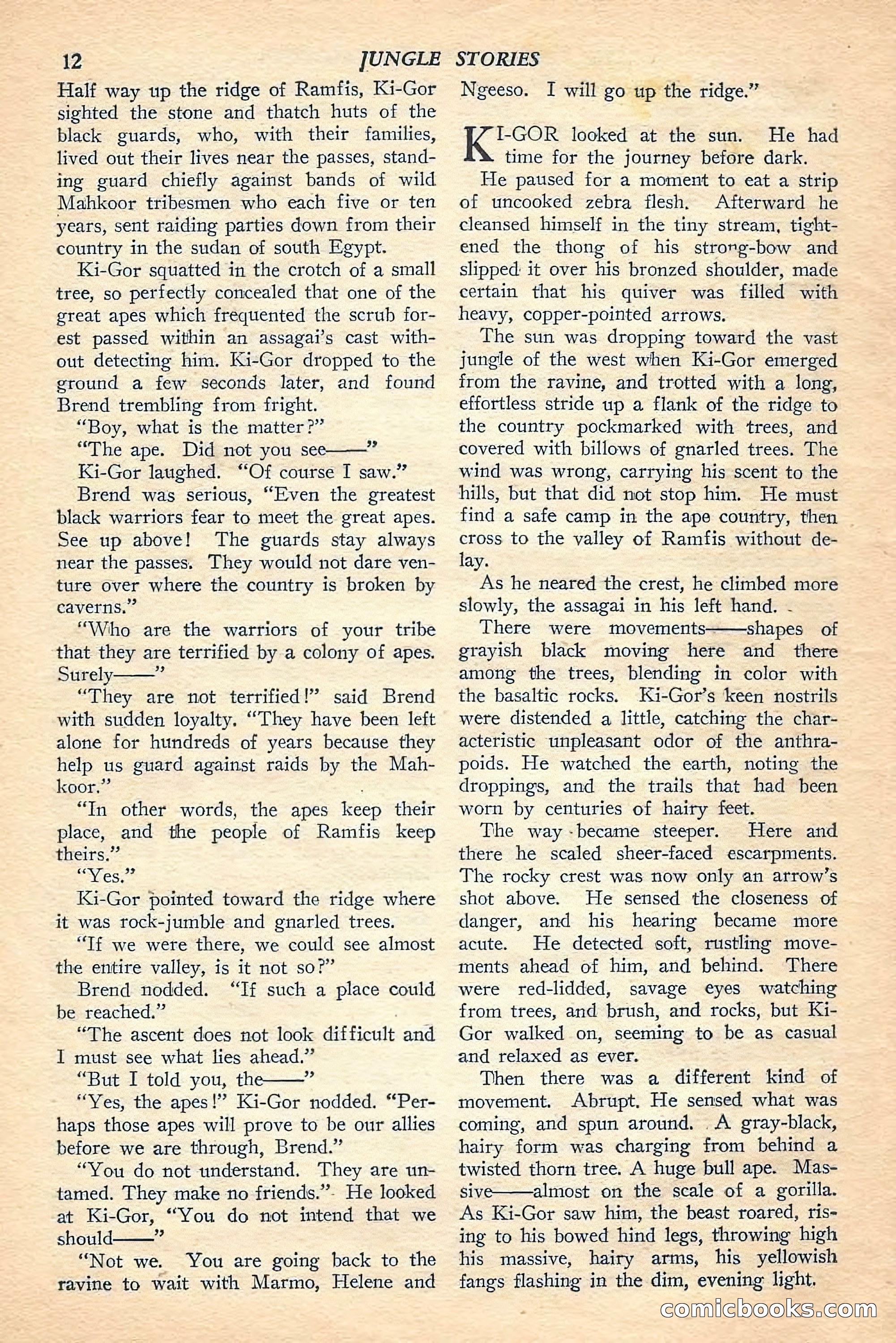 Jungle Stories, Winter Issue — page 14 of 132