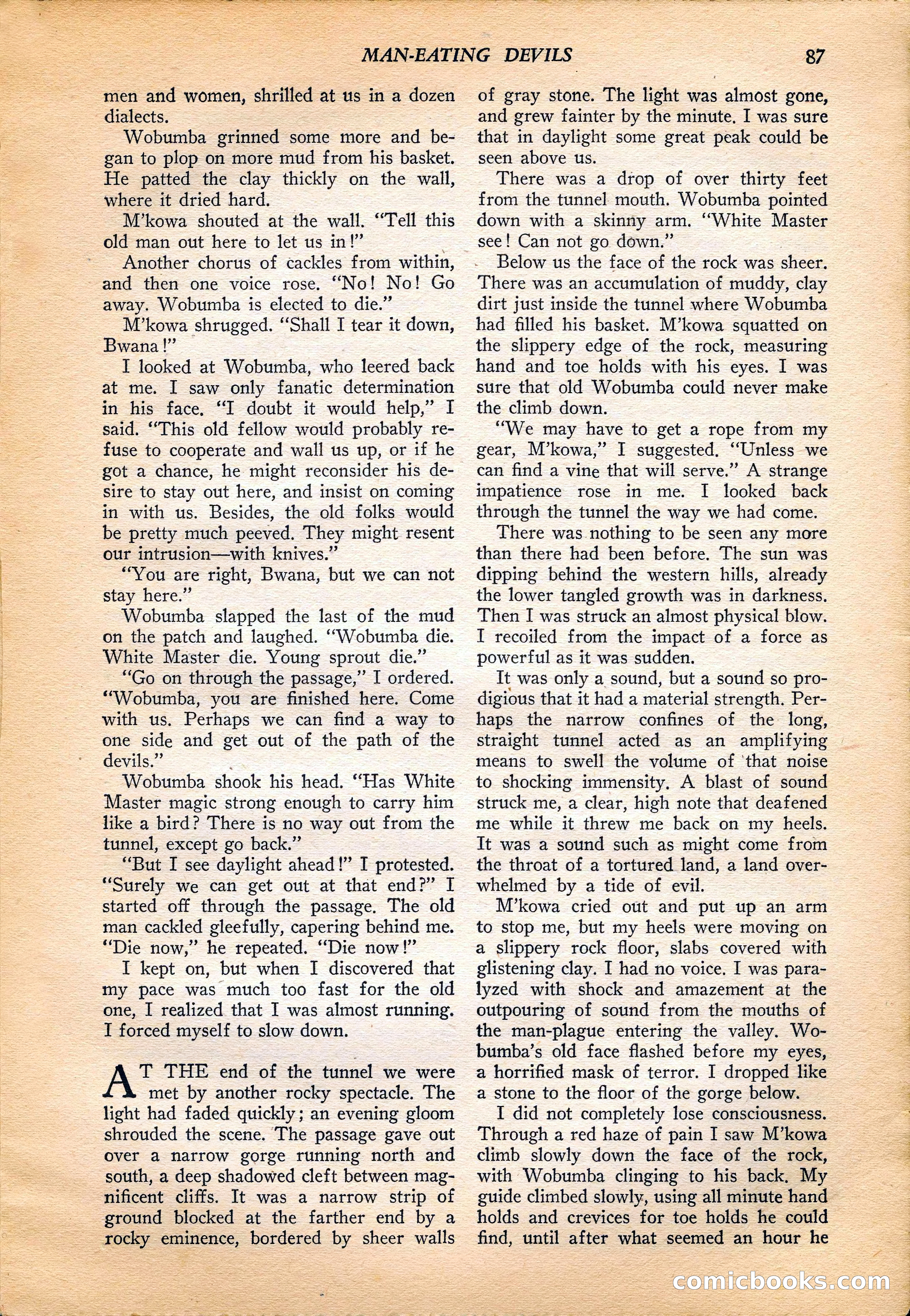 Jungle Stories, Vol. 4, No. 1 — page 89 of 132