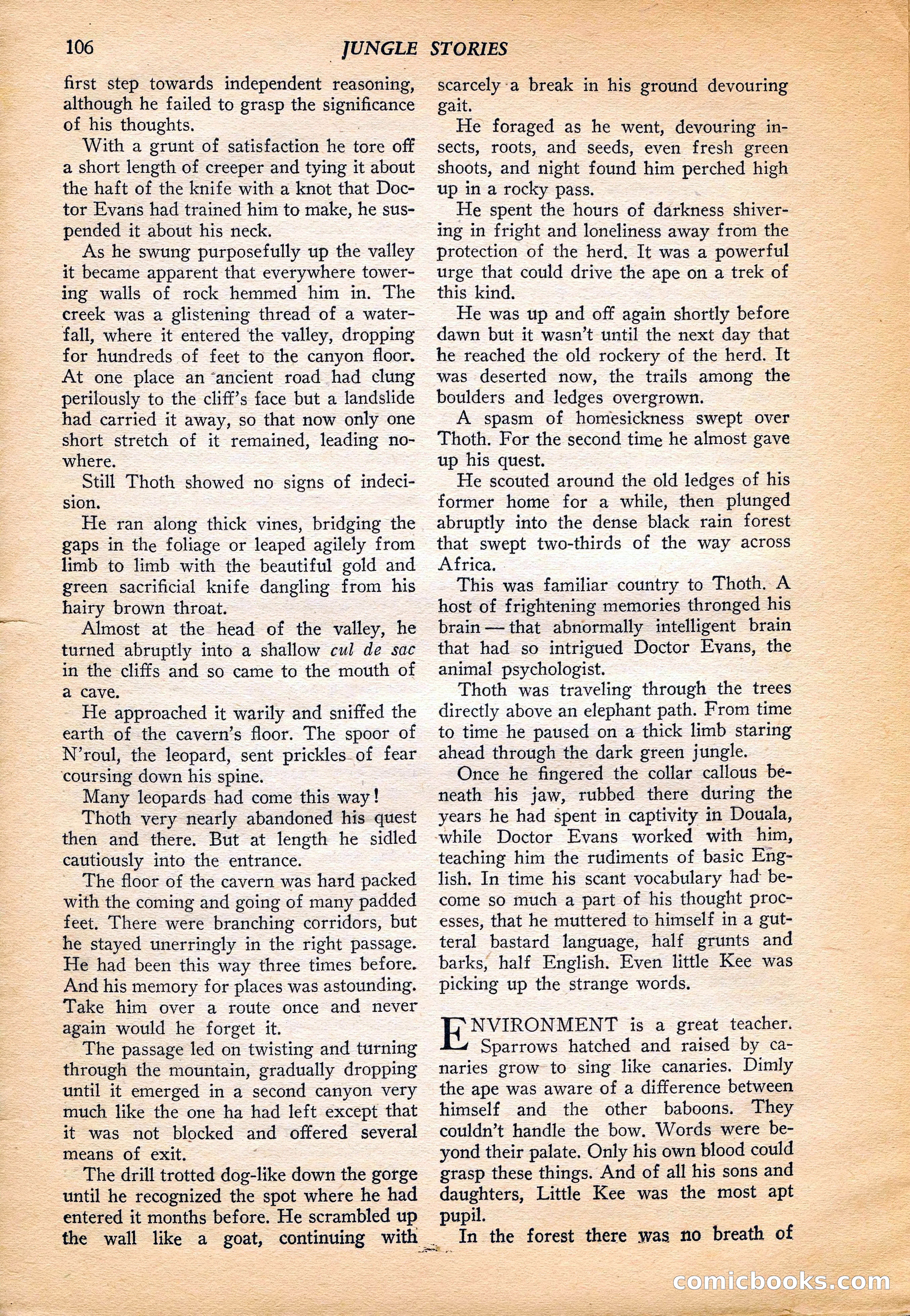 Jungle Stories, Vol. 4, No. 1 — page 108 of 132