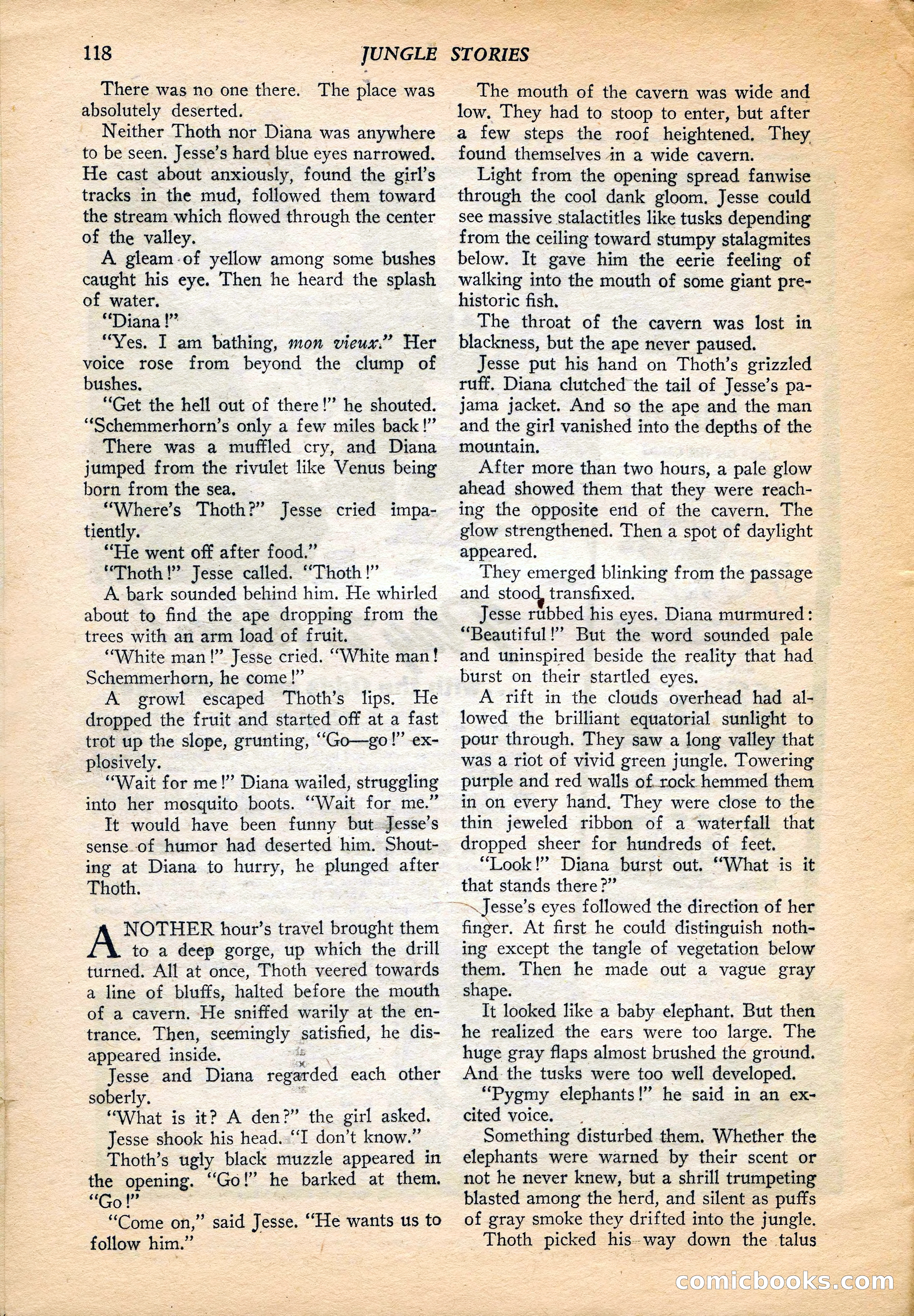 Jungle Stories, Vol. 4, No. 1 — page 120 of 132
