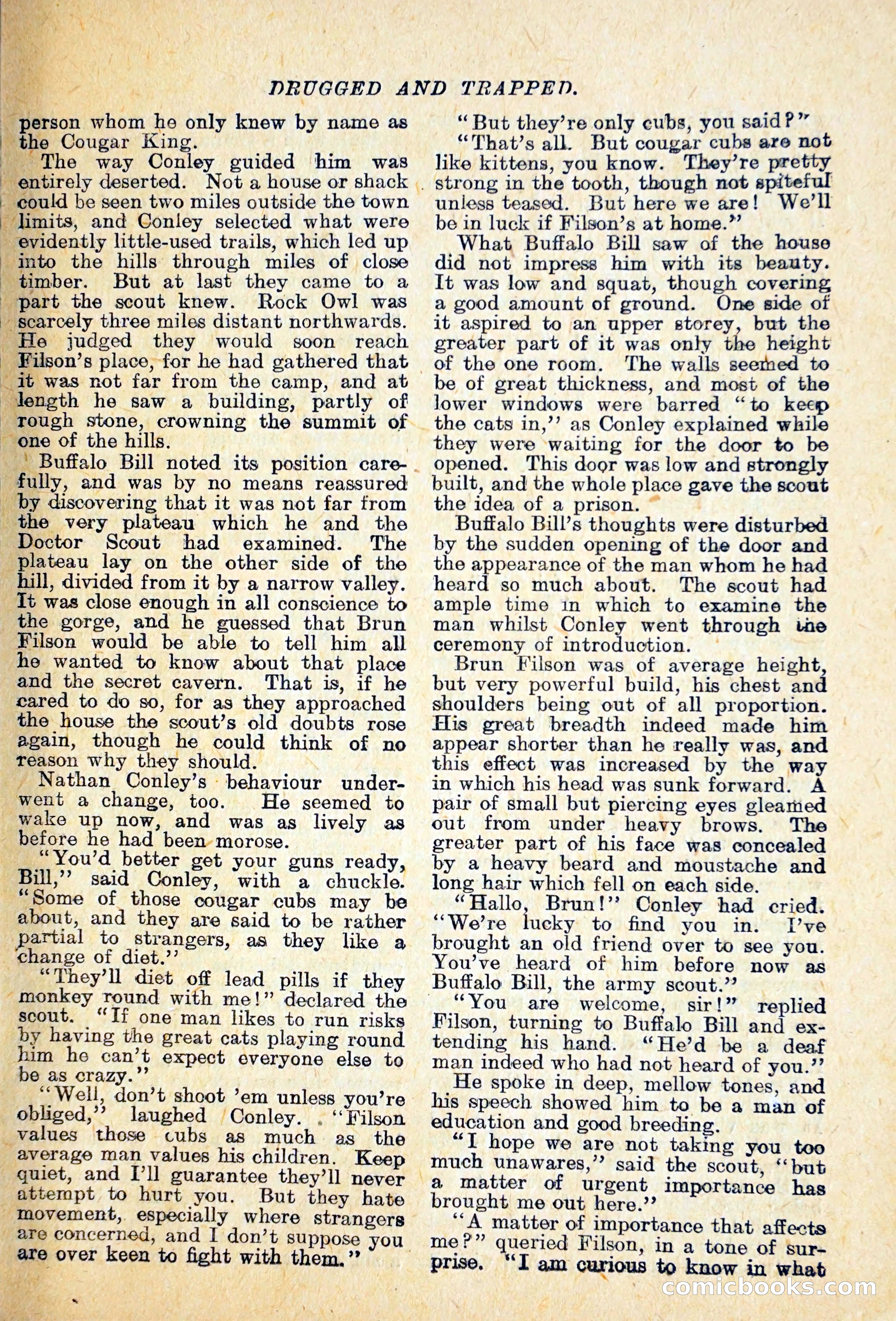Buffalo Bill Library No. 466: King of the Cougars — page 18 of 29