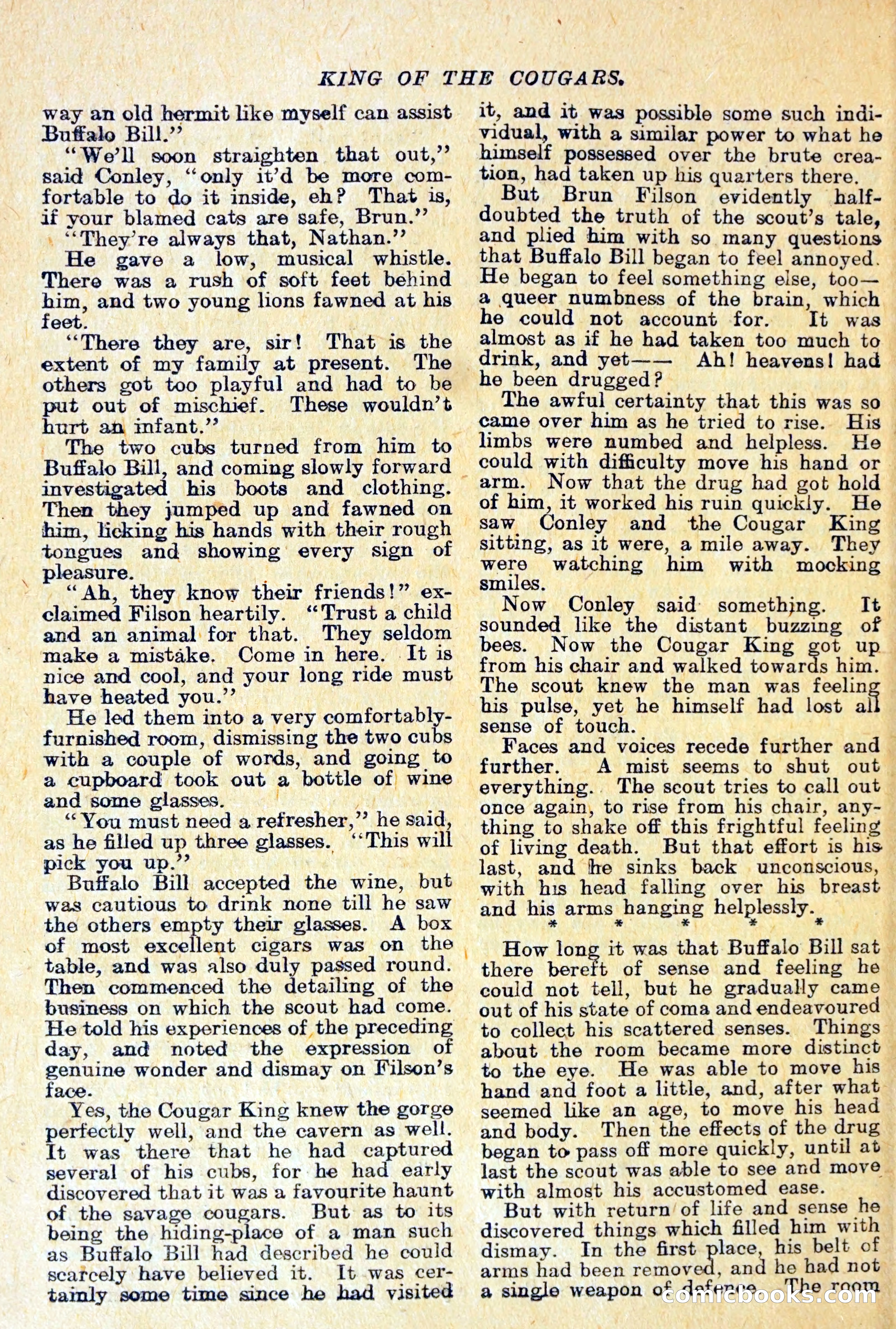 Buffalo Bill Library No. 466: King of the Cougars — page 19 of 29