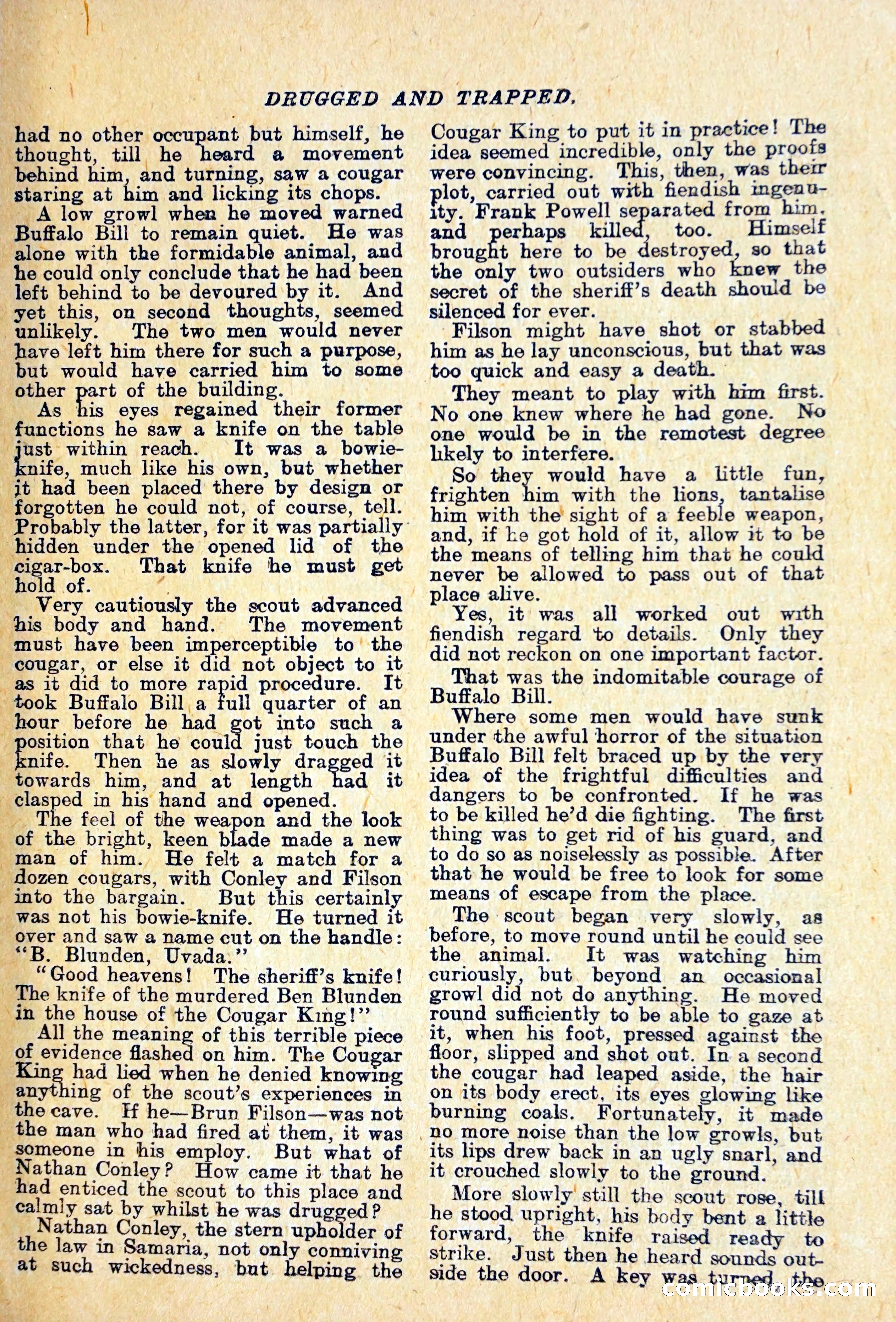 Buffalo Bill Library No. 466: King of the Cougars — page 20 of 29