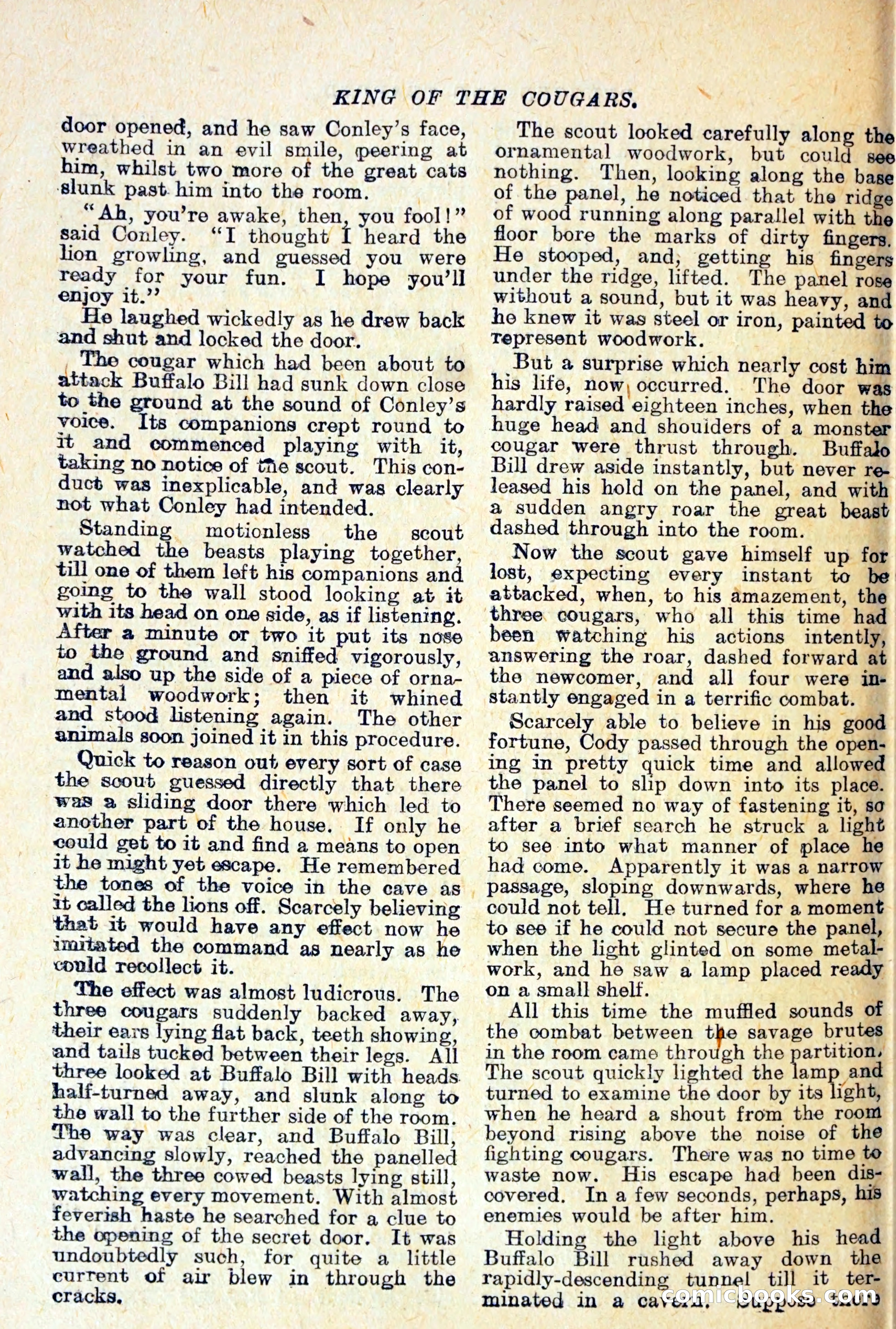 Buffalo Bill Library No. 466: King of the Cougars — page 21 of 29