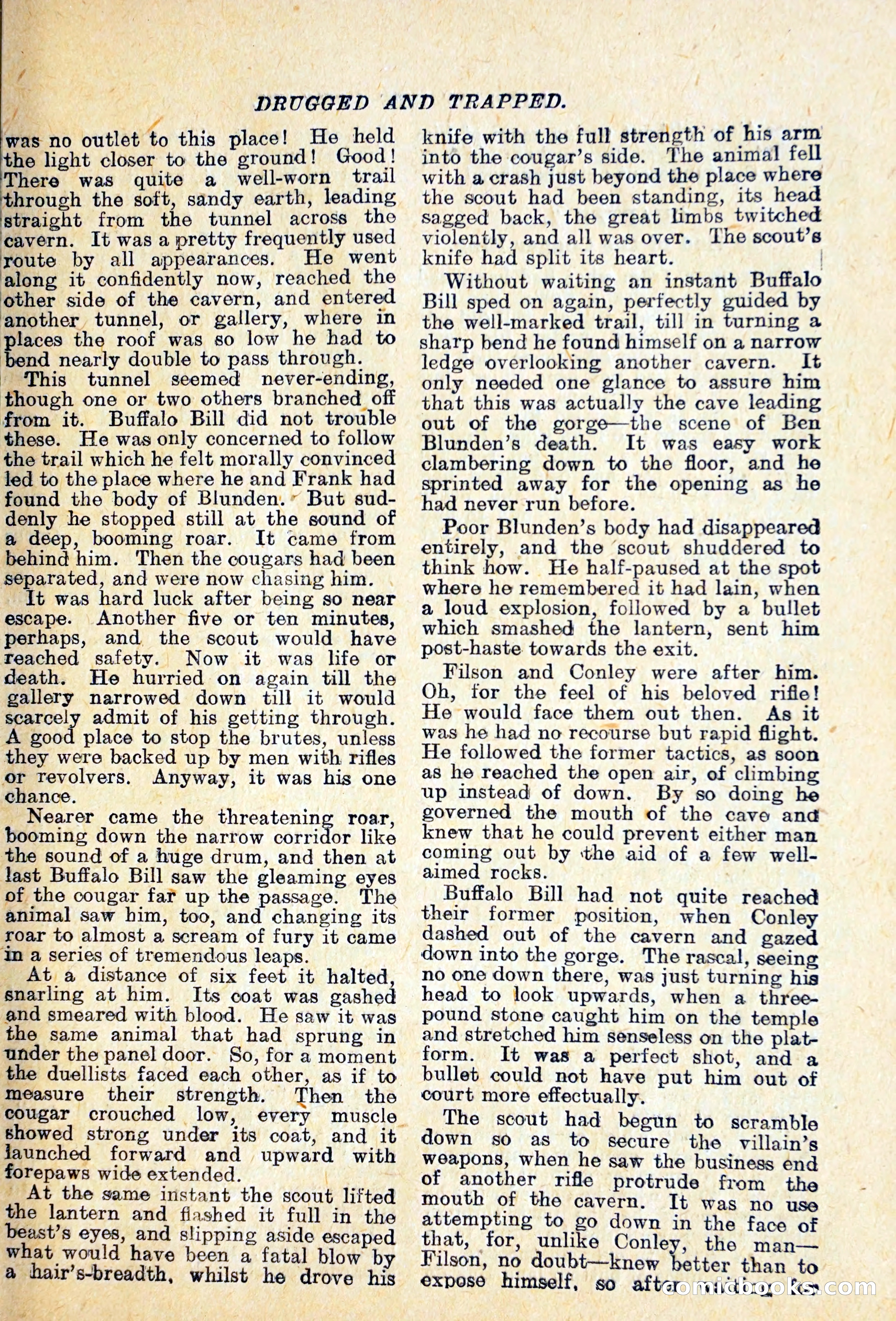 Buffalo Bill Library No. 466: King of the Cougars — page 22 of 29