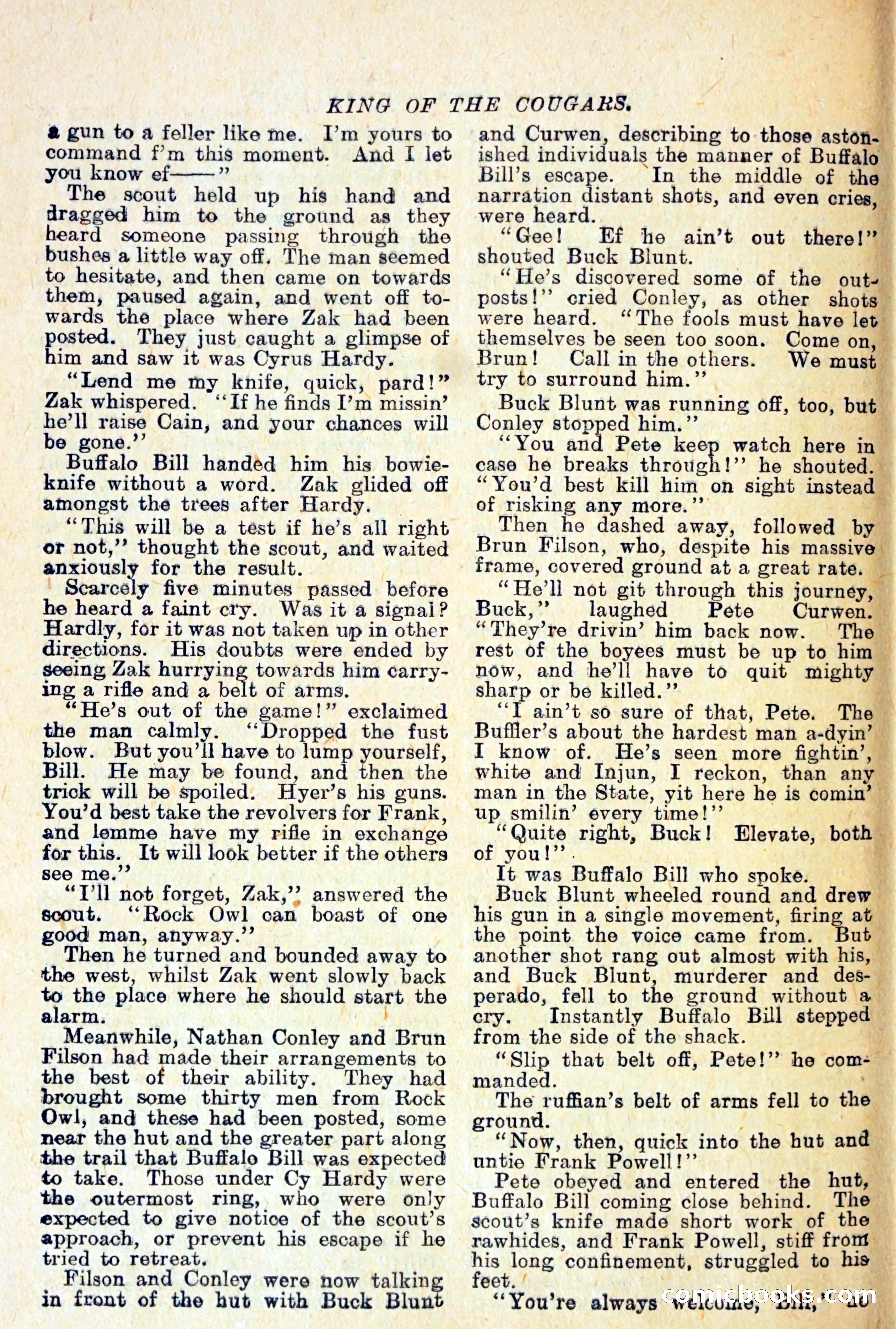 Buffalo Bill Library No. 466: King of the Cougars — page 25 of 29