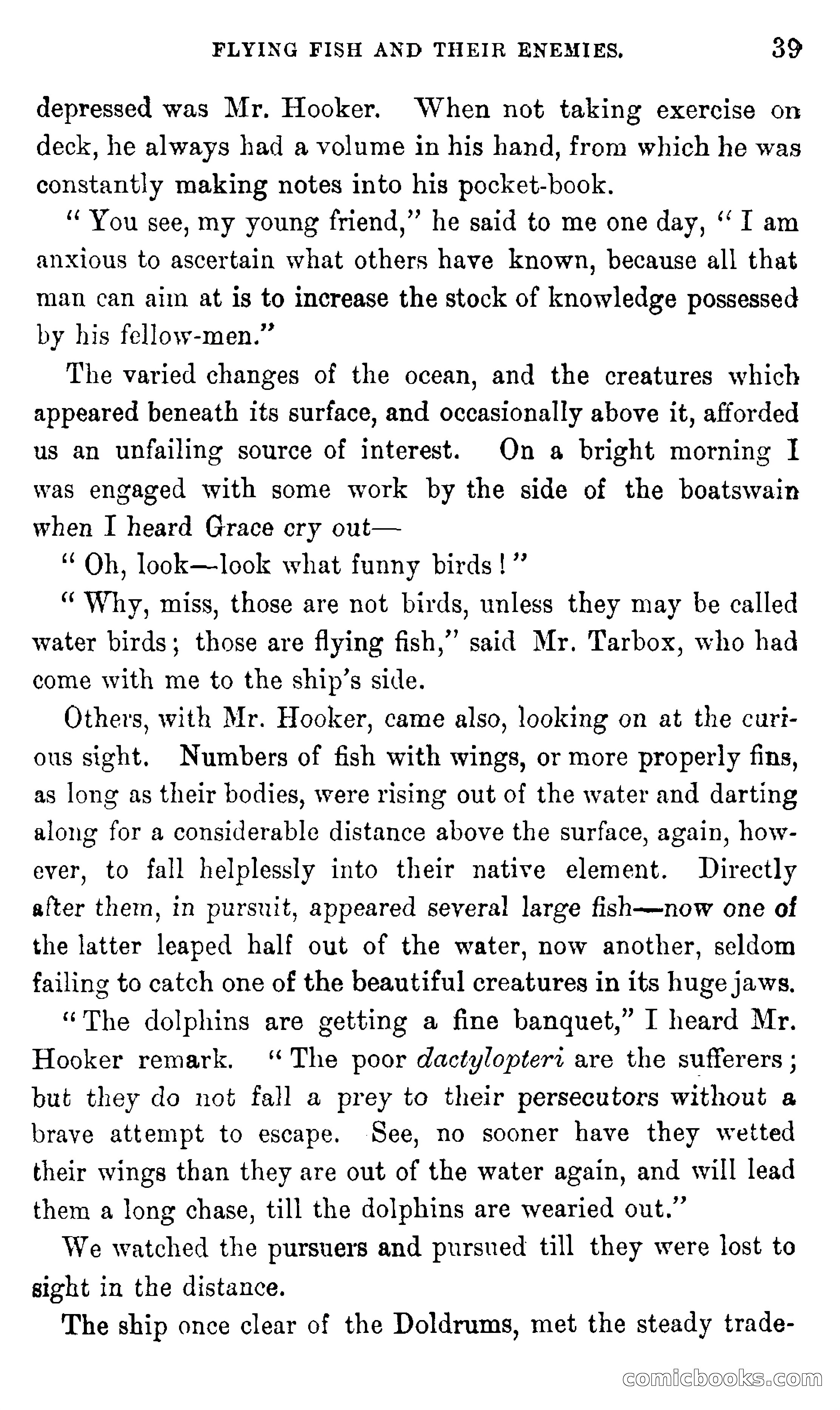 In the Eastern Seas — page 43 of 399