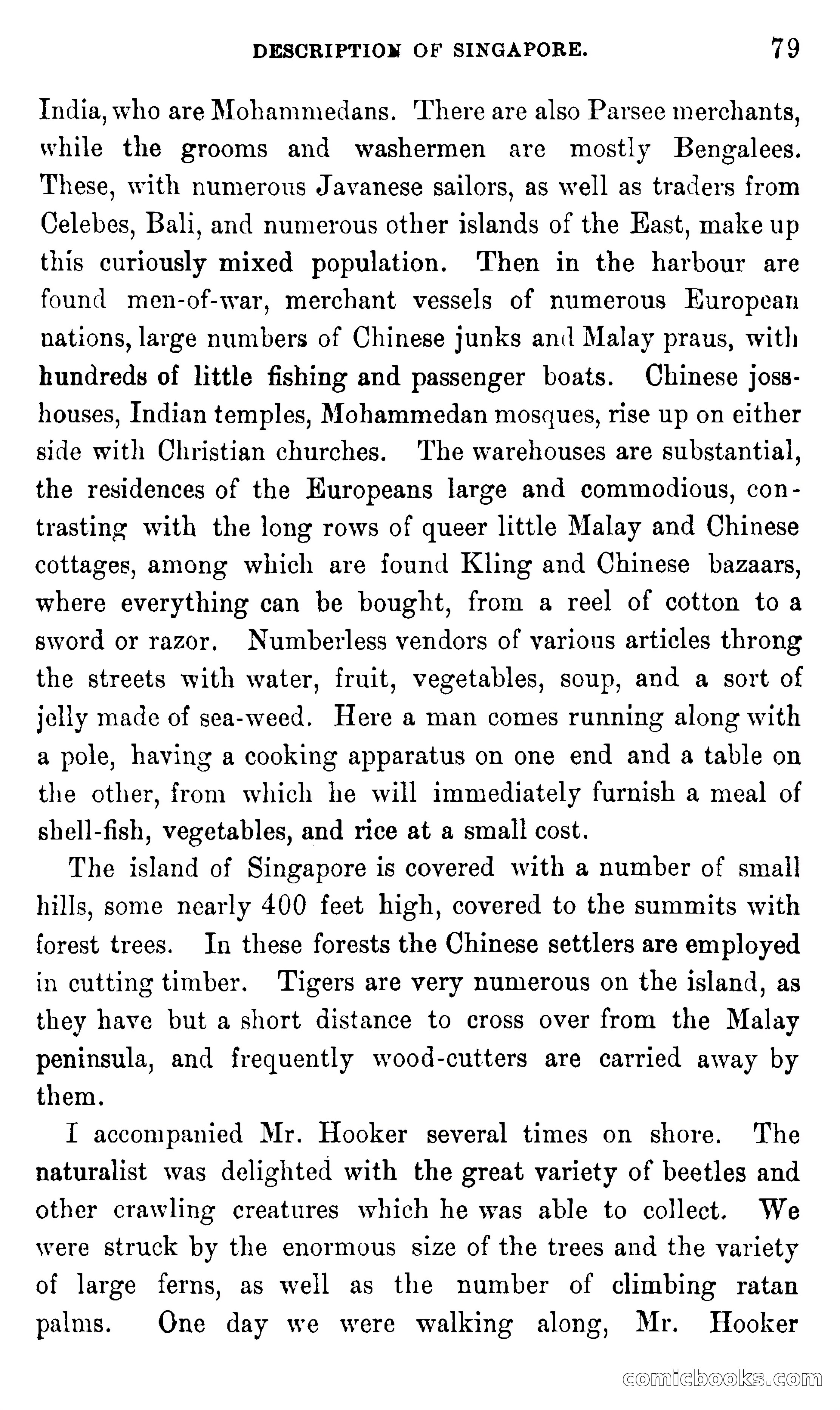 In the Eastern Seas — page 83 of 399
