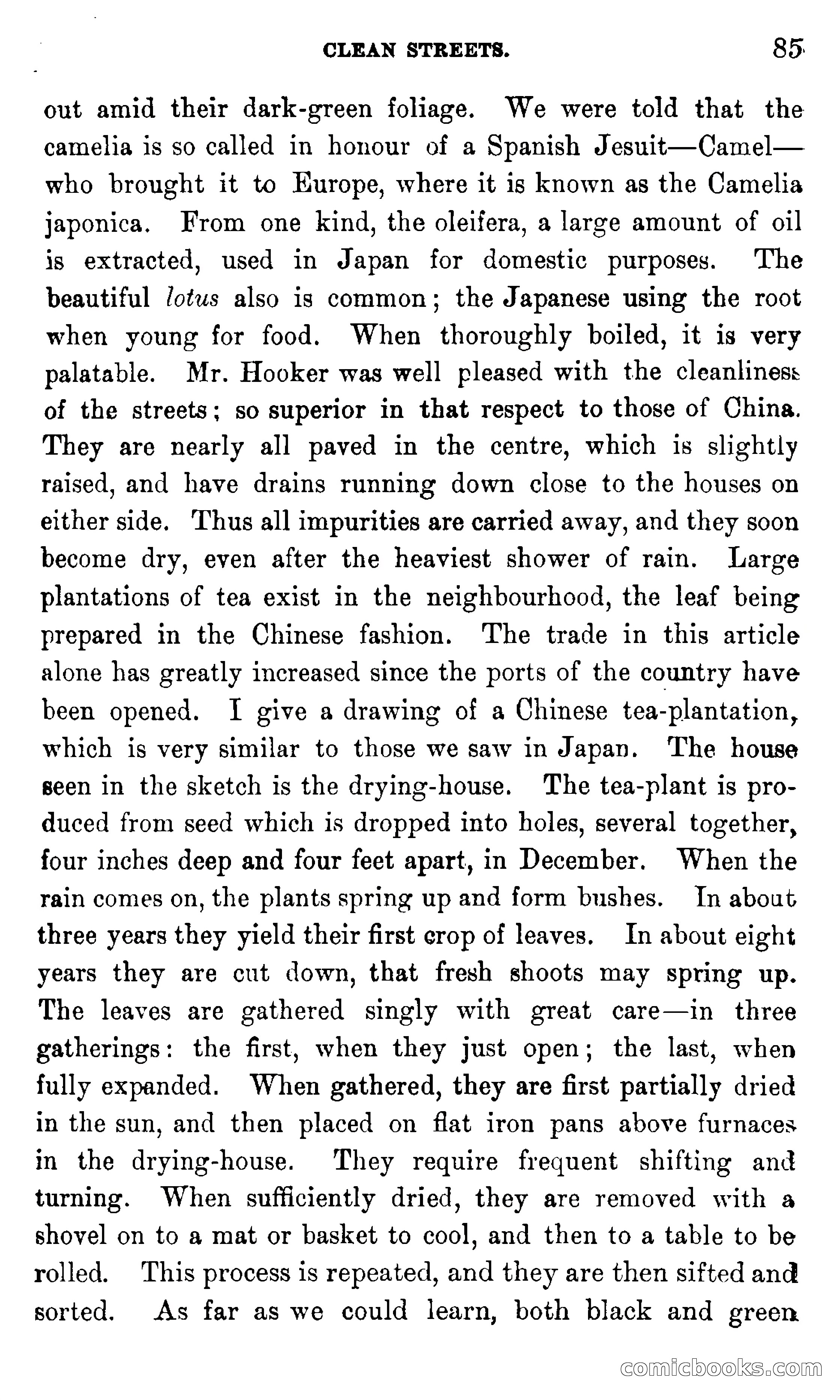 In the Eastern Seas — page 89 of 399