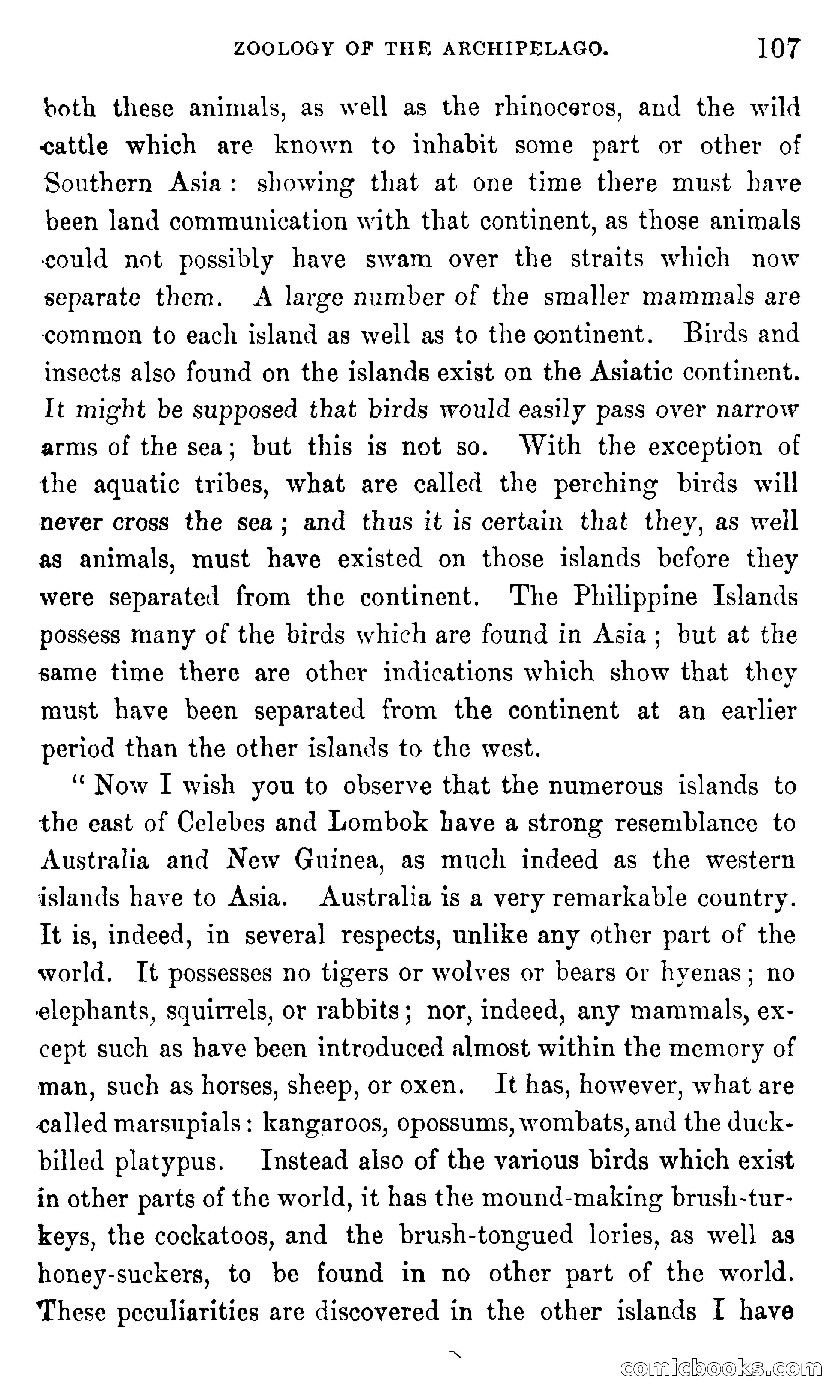 In the Eastern Seas — page 111 of 399