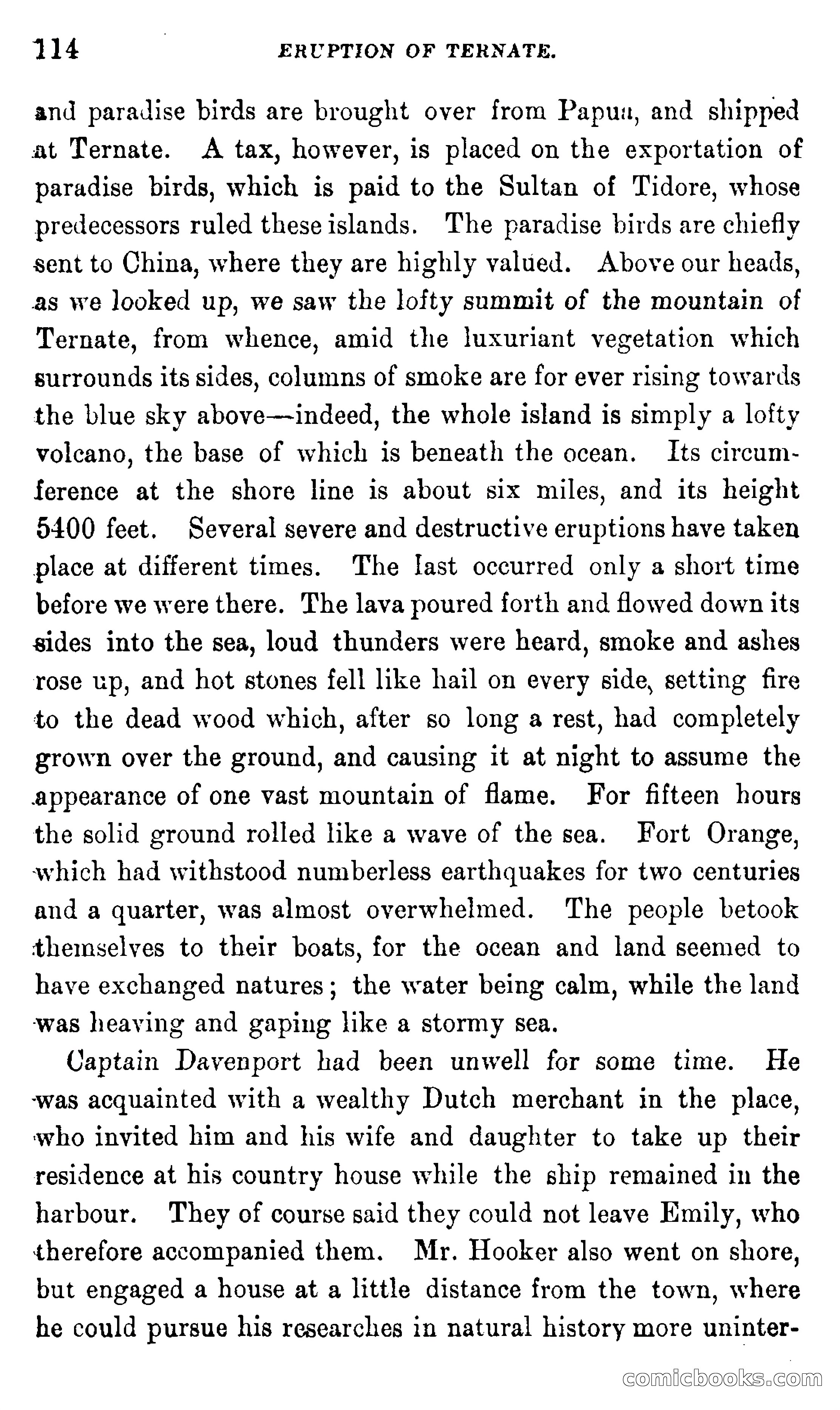 In the Eastern Seas — page 118 of 399