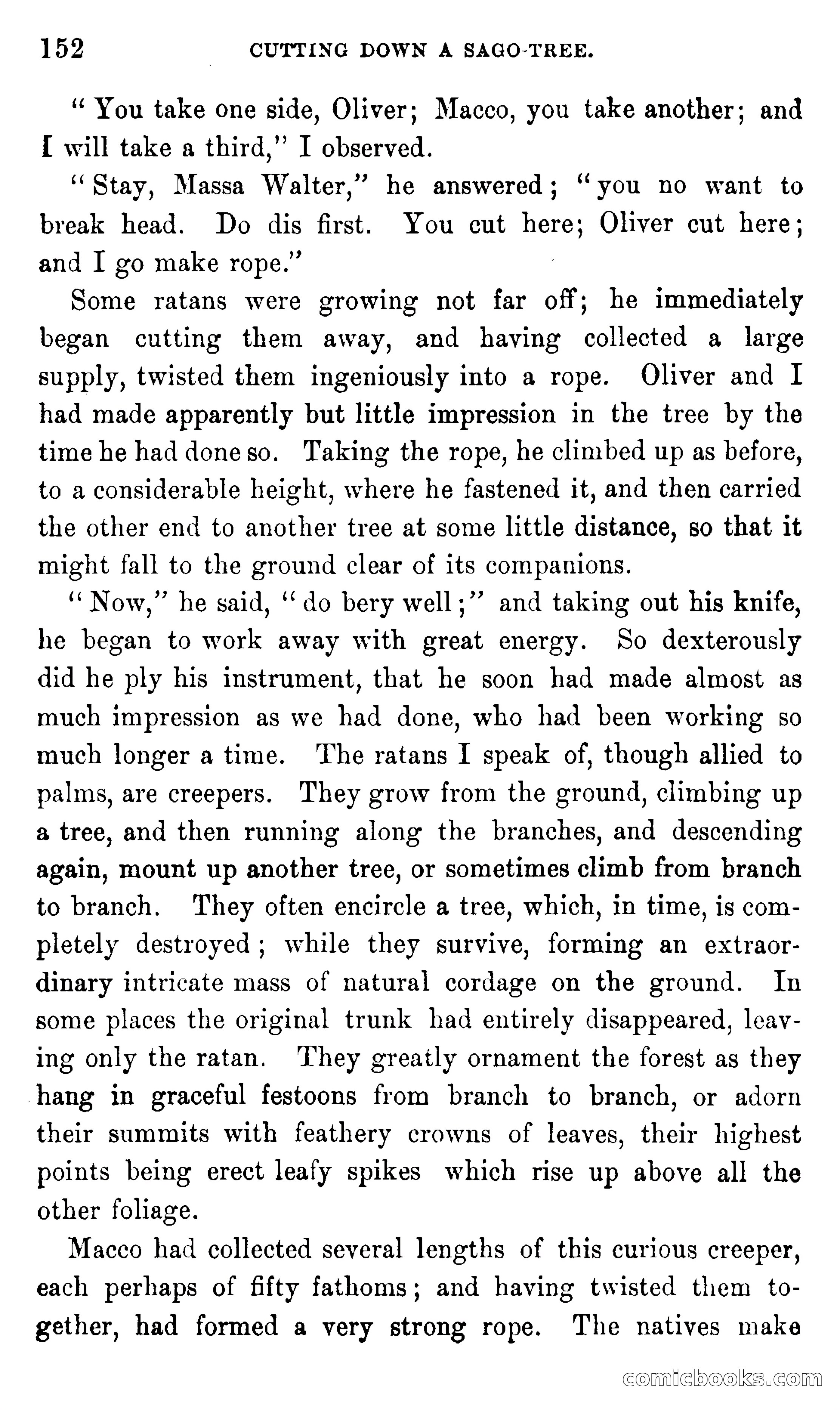 In the Eastern Seas — page 156 of 399
