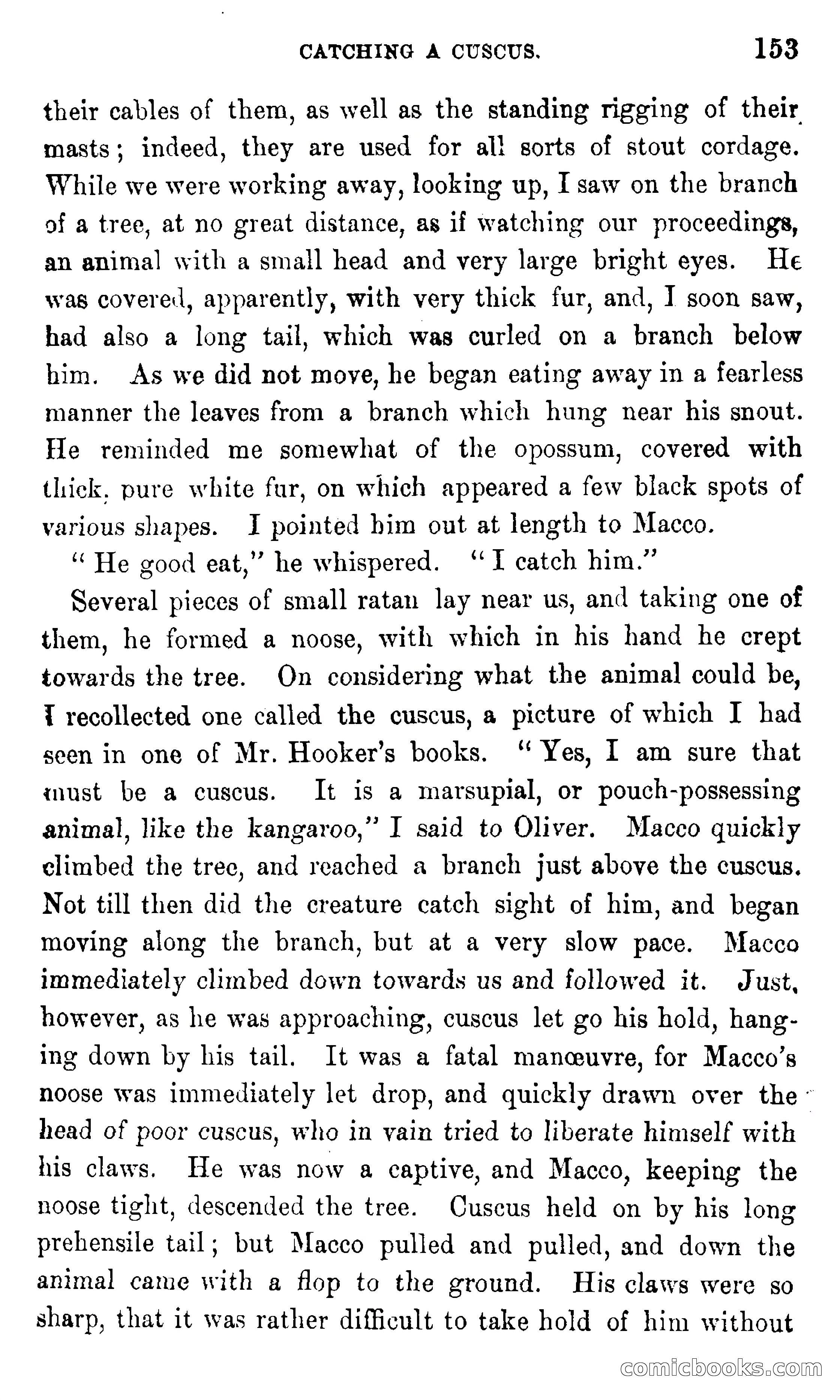 In the Eastern Seas — page 157 of 399