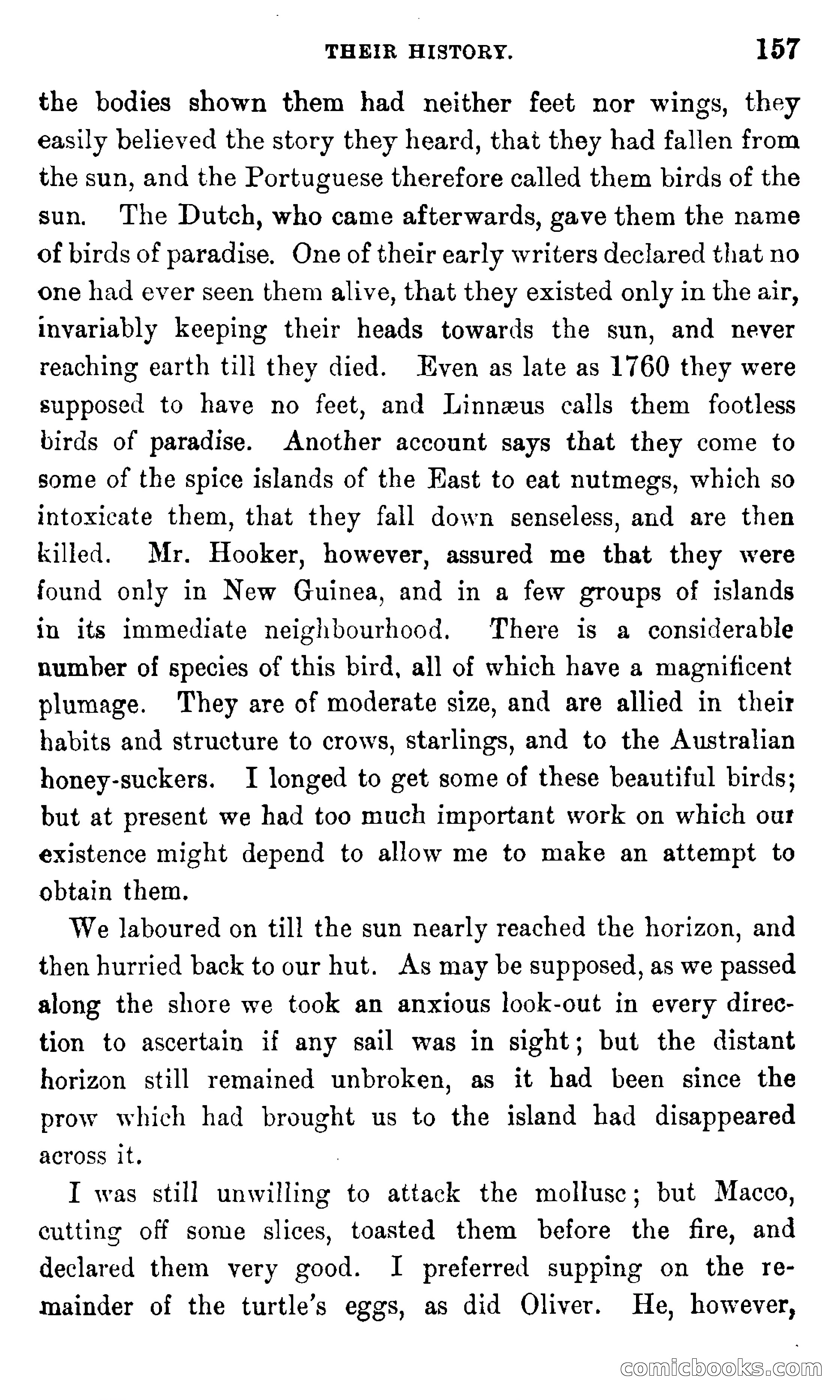 In the Eastern Seas — page 161 of 399