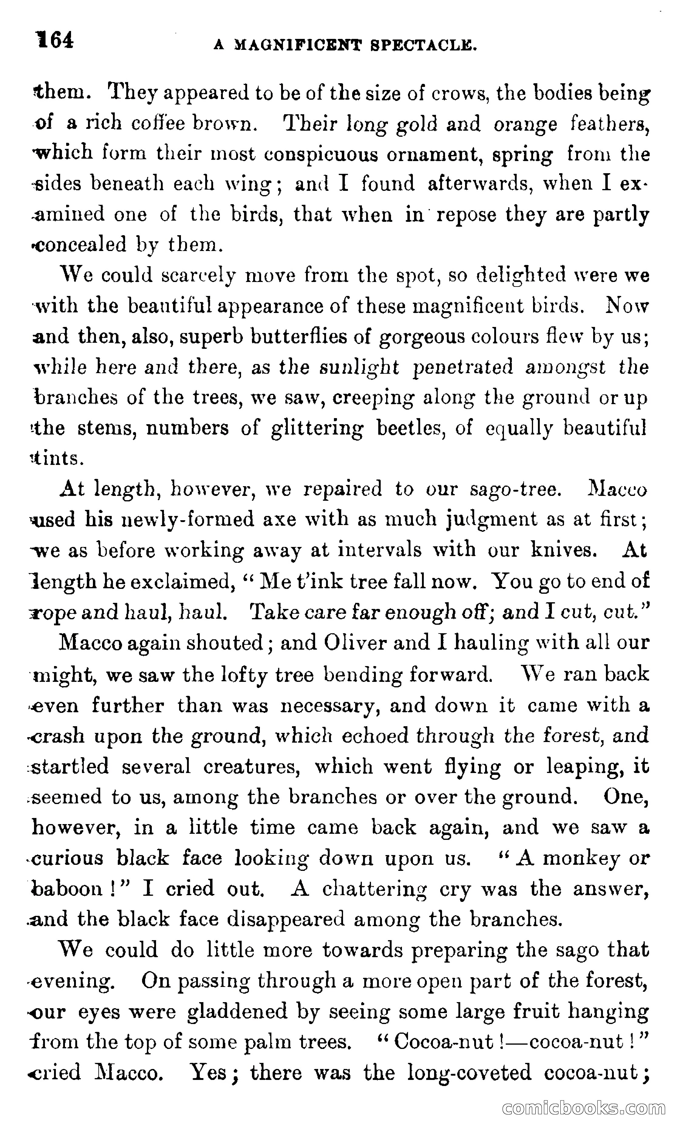 In the Eastern Seas — page 168 of 399
