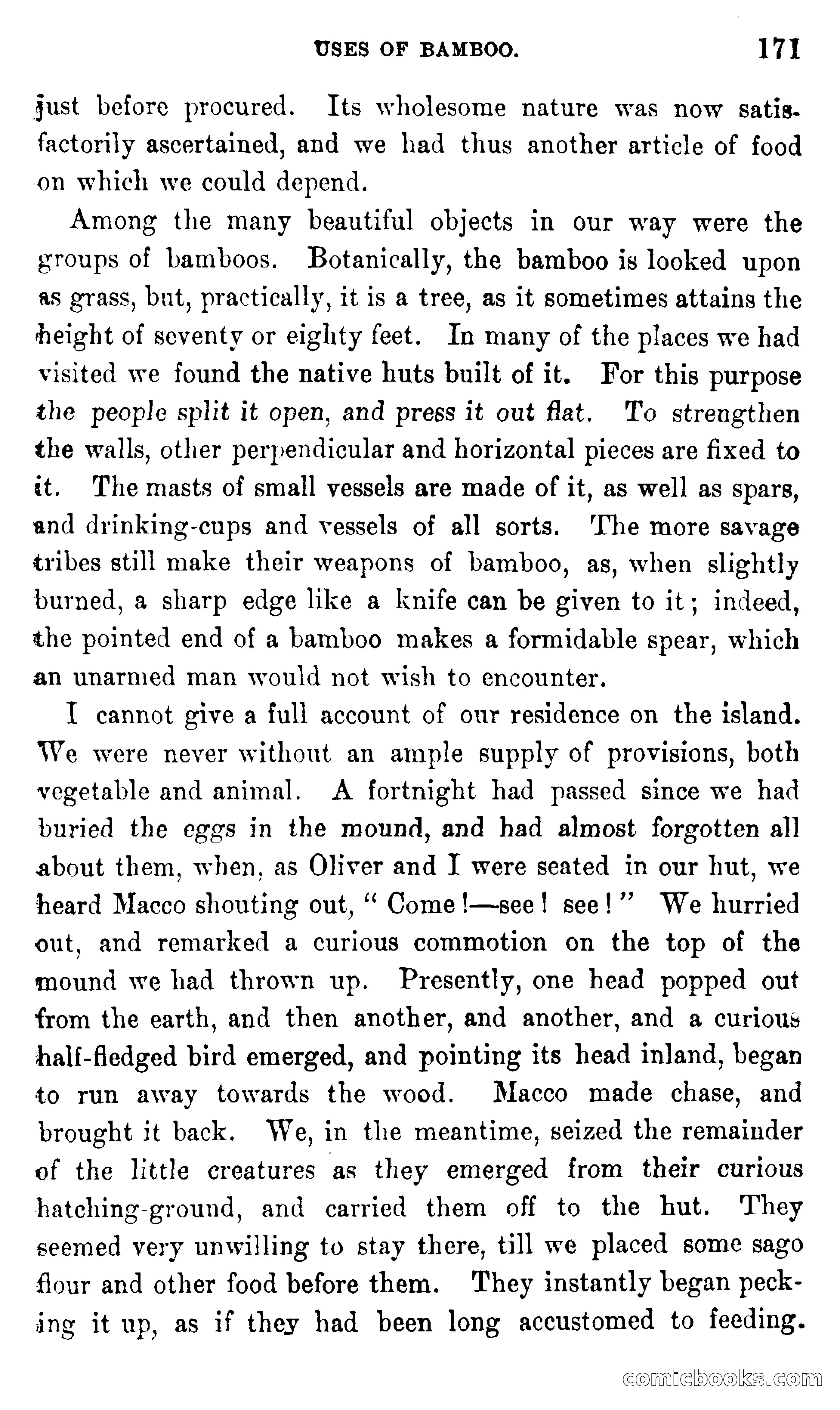 In the Eastern Seas — page 175 of 399