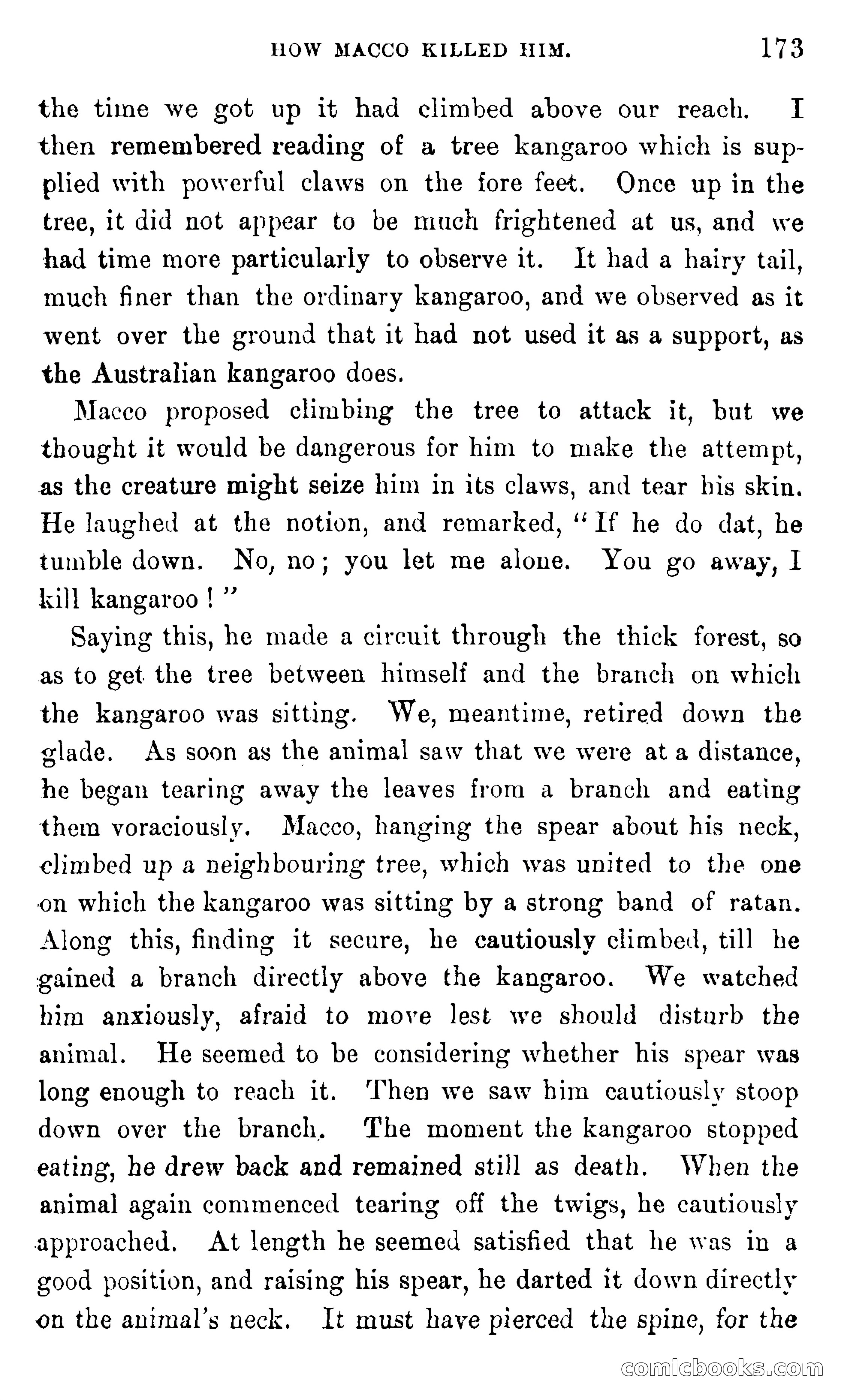In the Eastern Seas — page 177 of 399