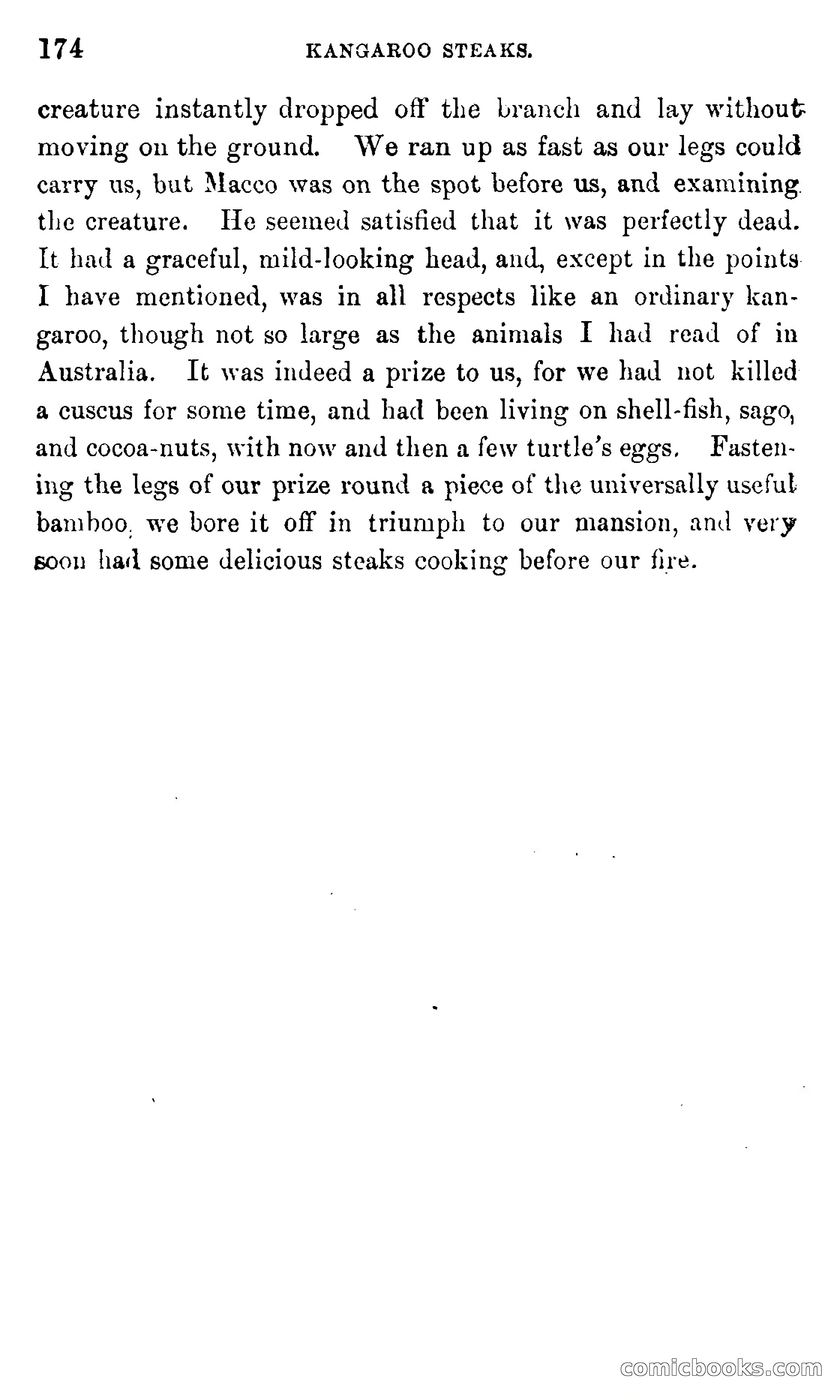 In the Eastern Seas — page 178 of 399