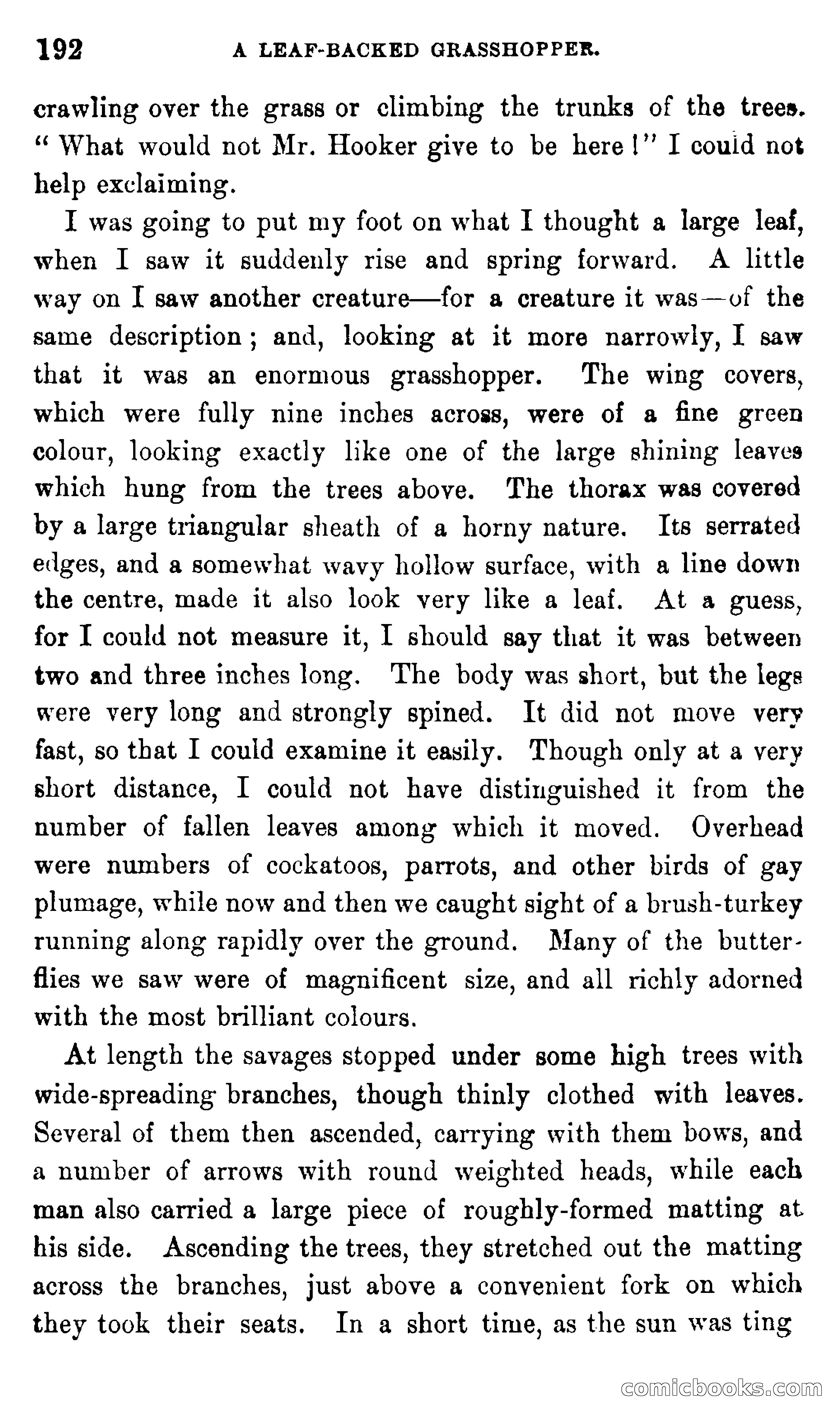 In the Eastern Seas — page 196 of 399