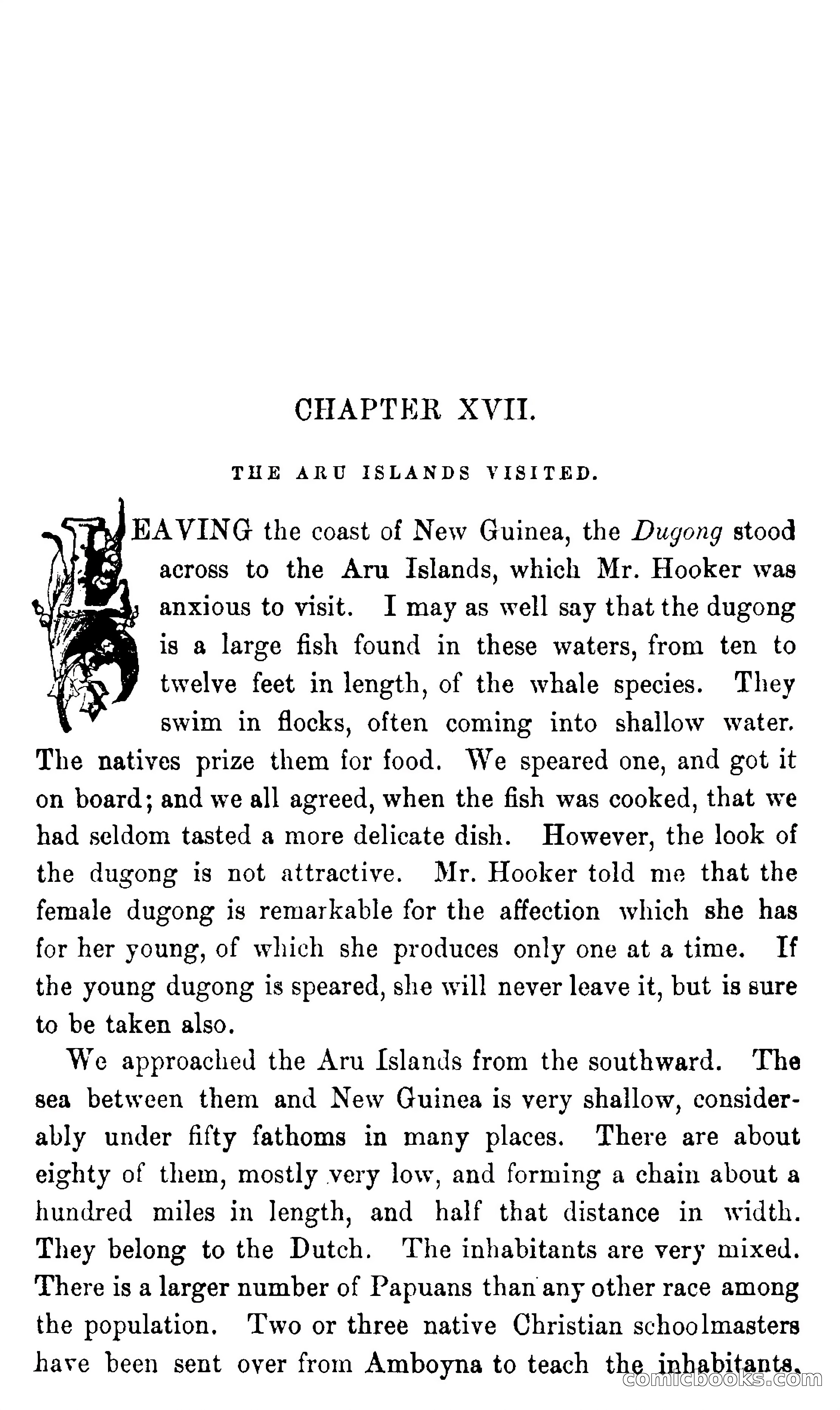 In the Eastern Seas — page 219 of 399