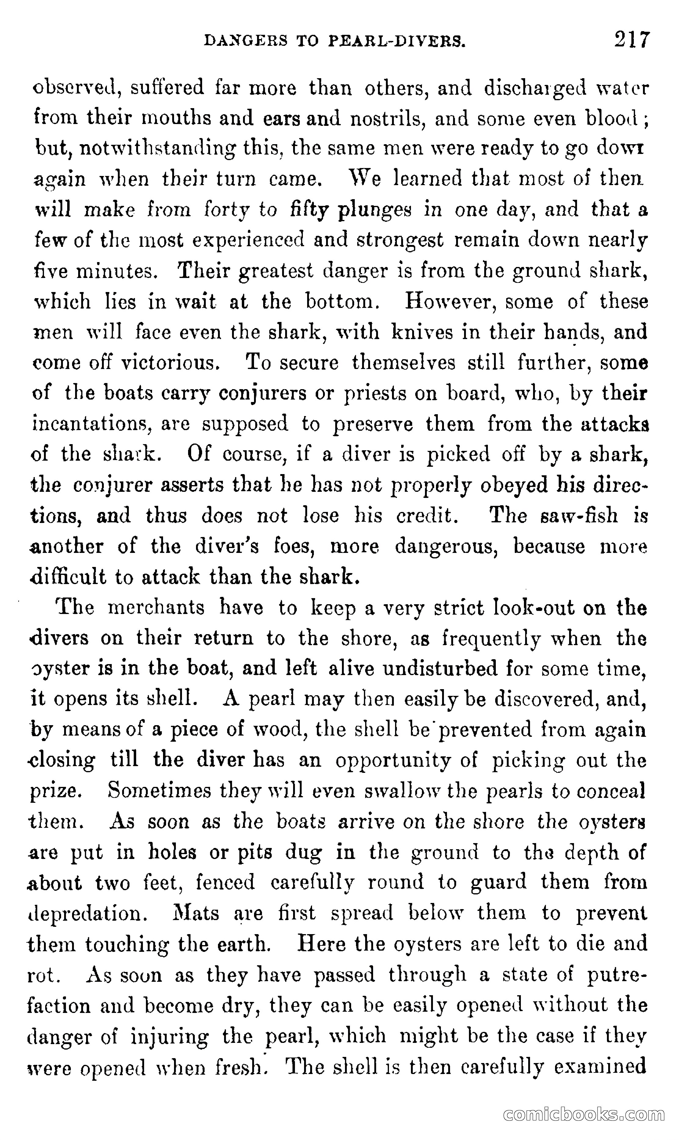 In the Eastern Seas — page 221 of 399