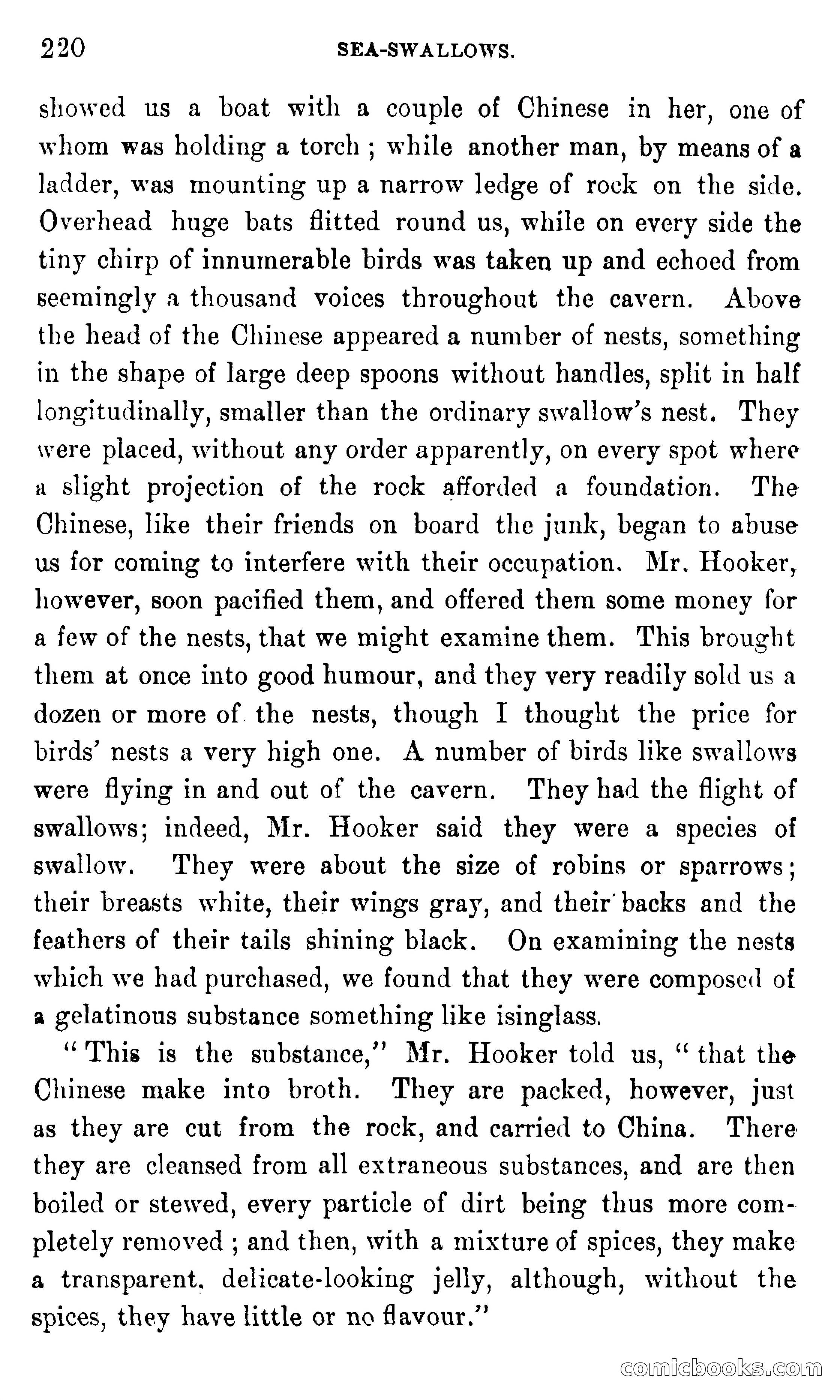 In the Eastern Seas — page 224 of 399