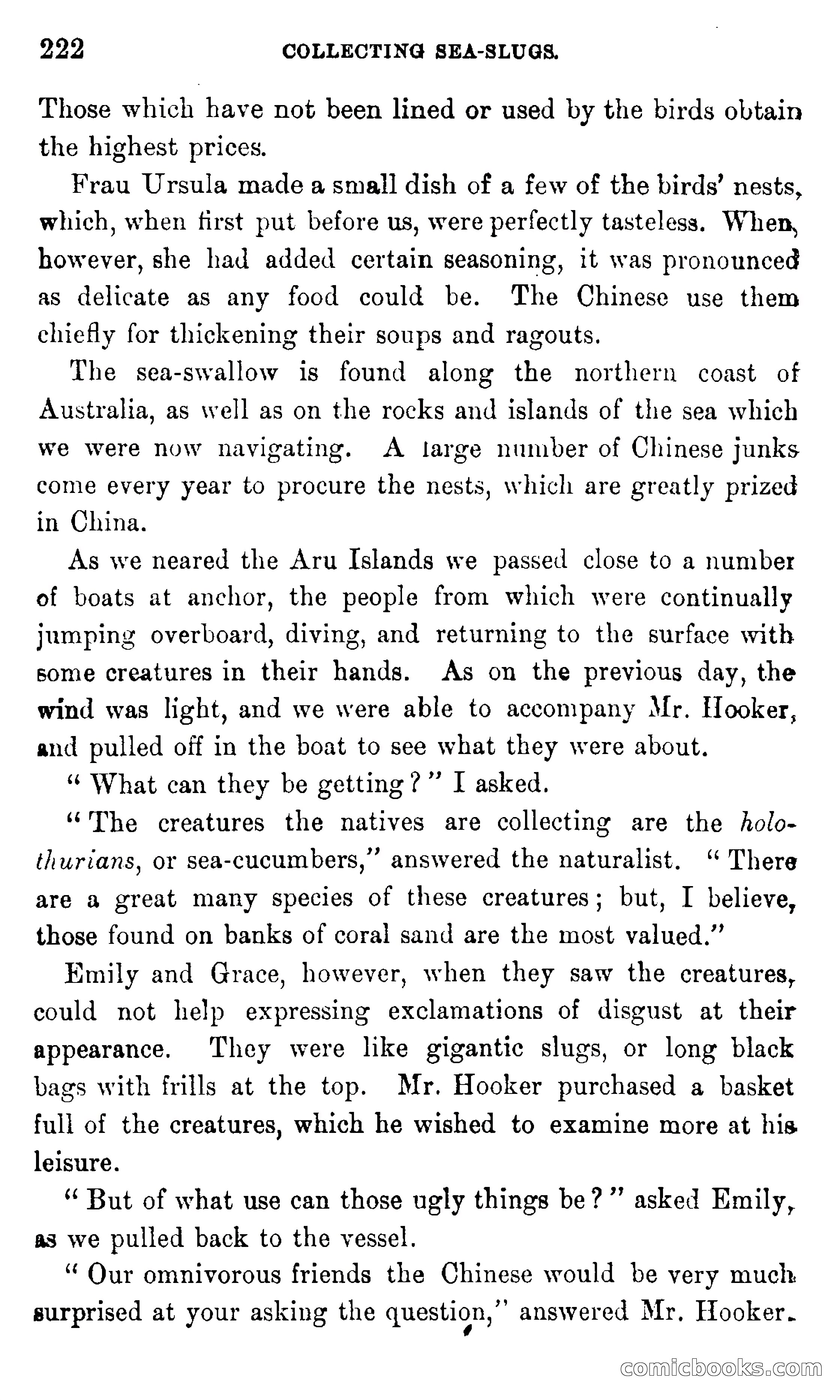 In the Eastern Seas — page 226 of 399