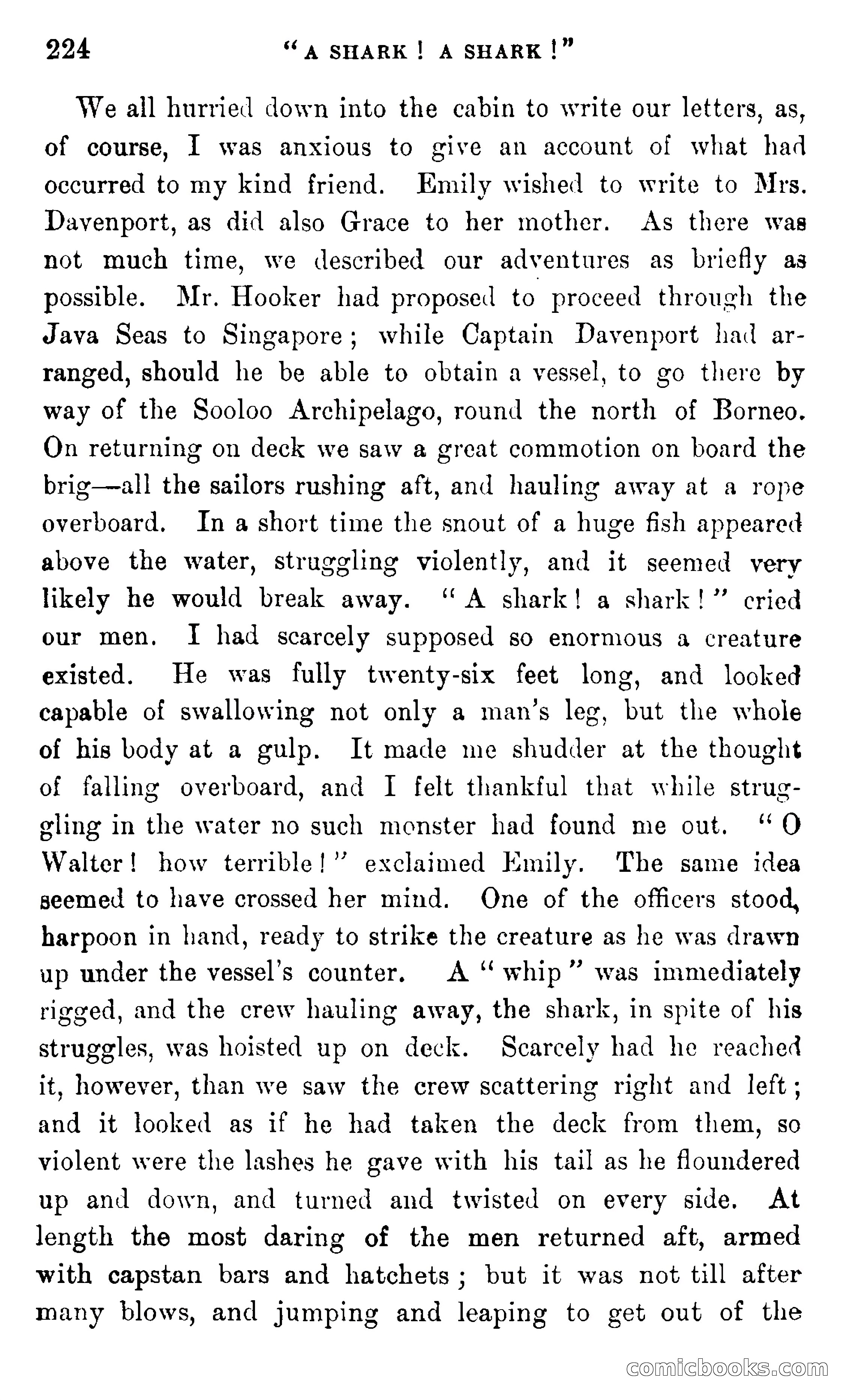 In the Eastern Seas — page 228 of 399
