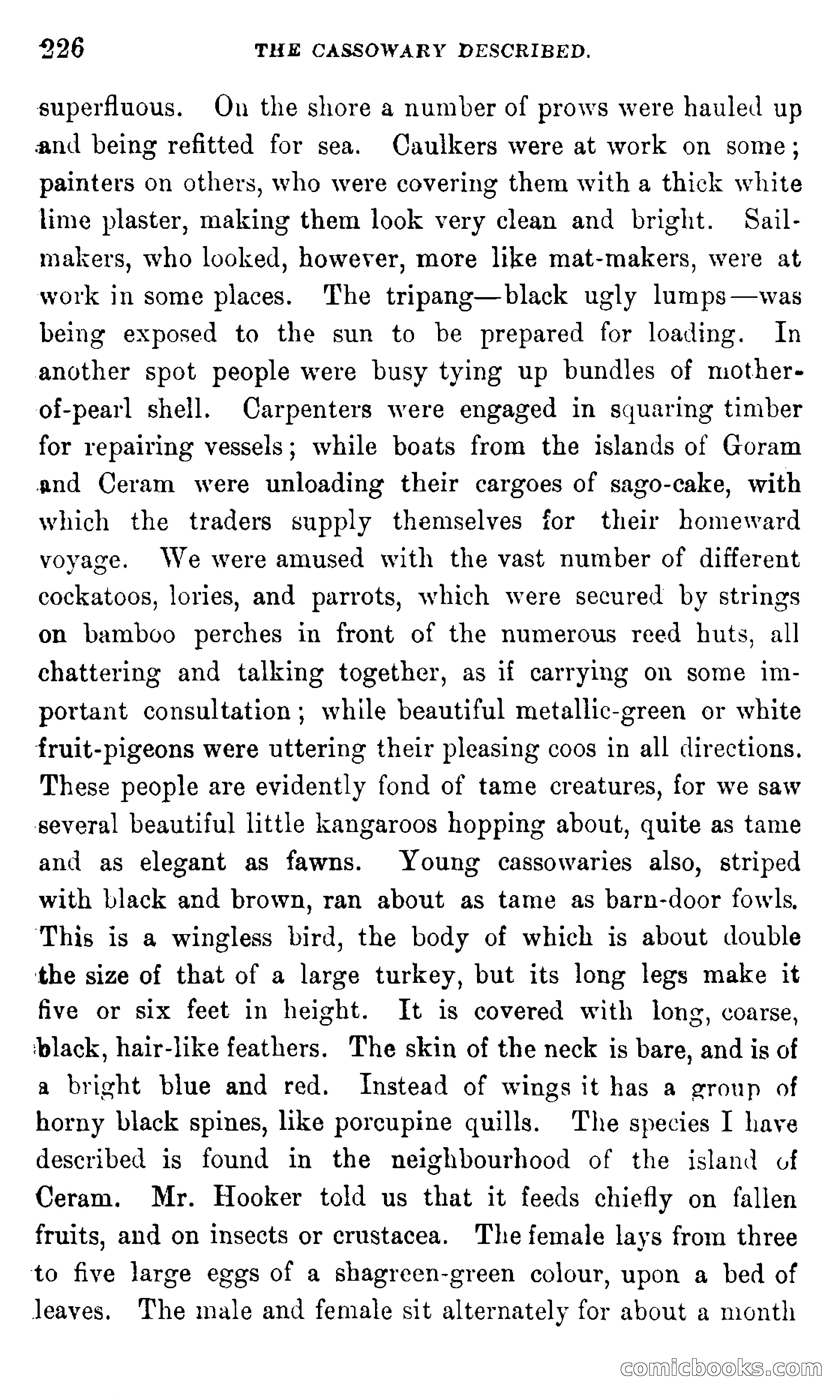 In the Eastern Seas — page 230 of 399