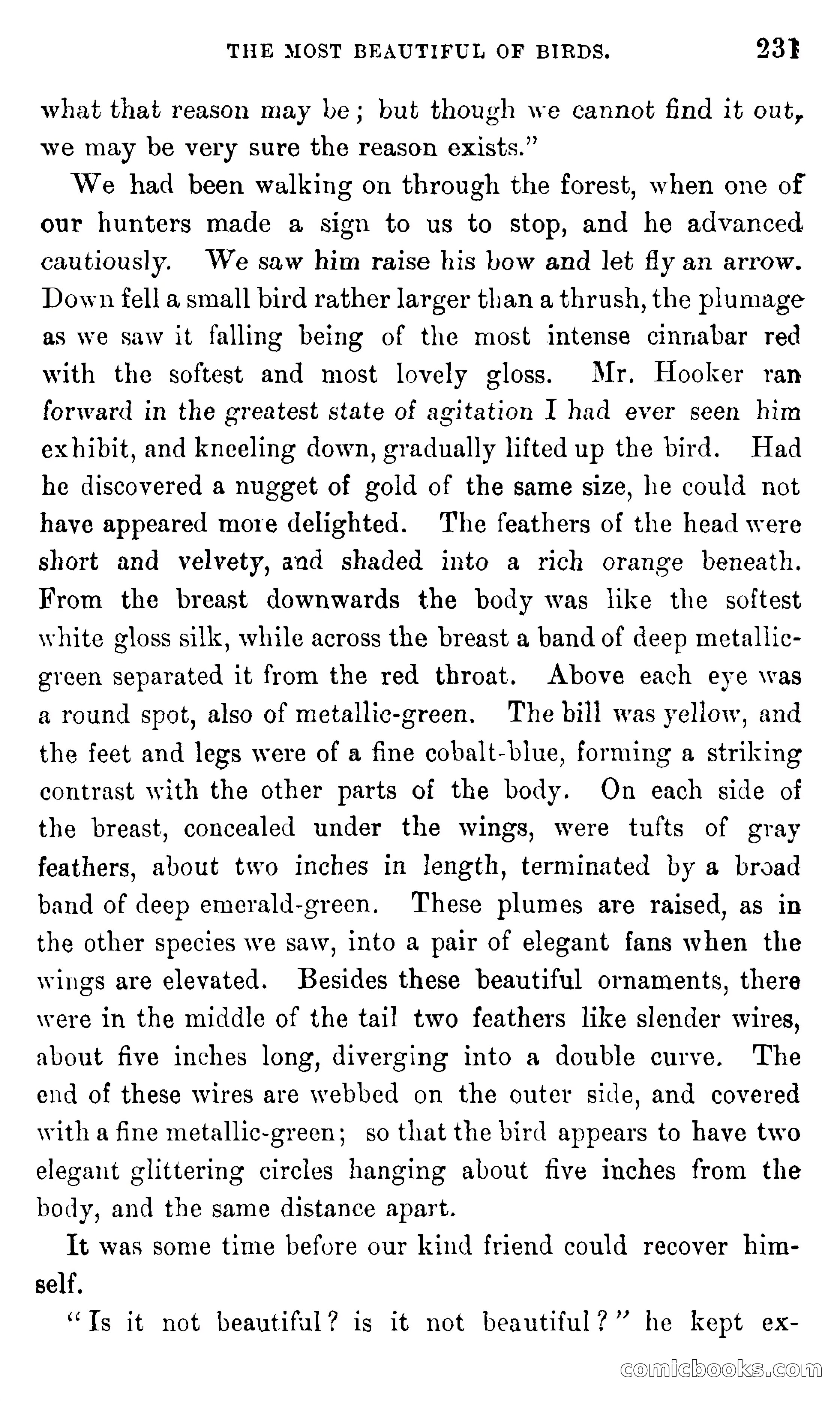 In the Eastern Seas — page 235 of 399